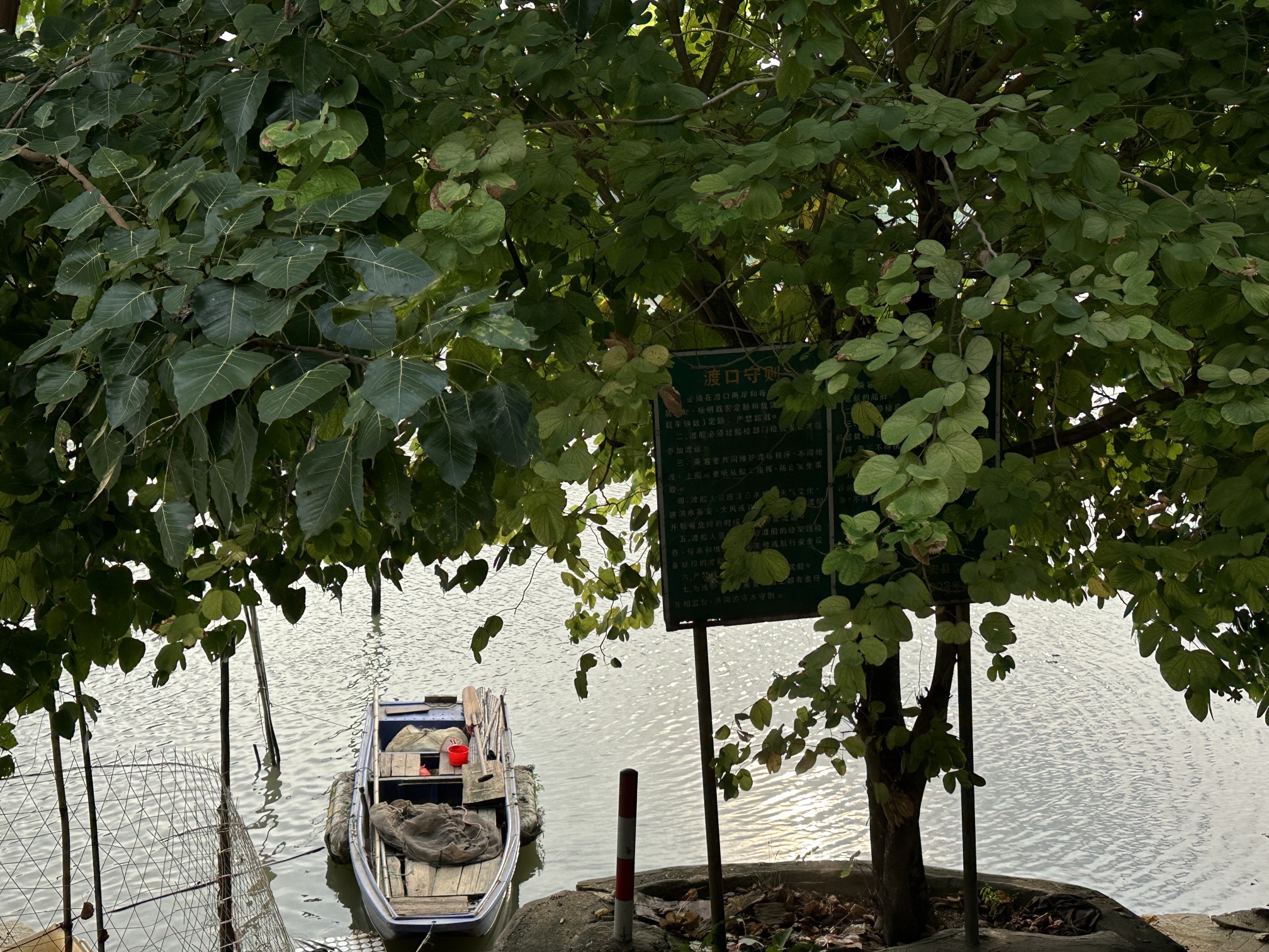 娘祠渡旅行图片 3