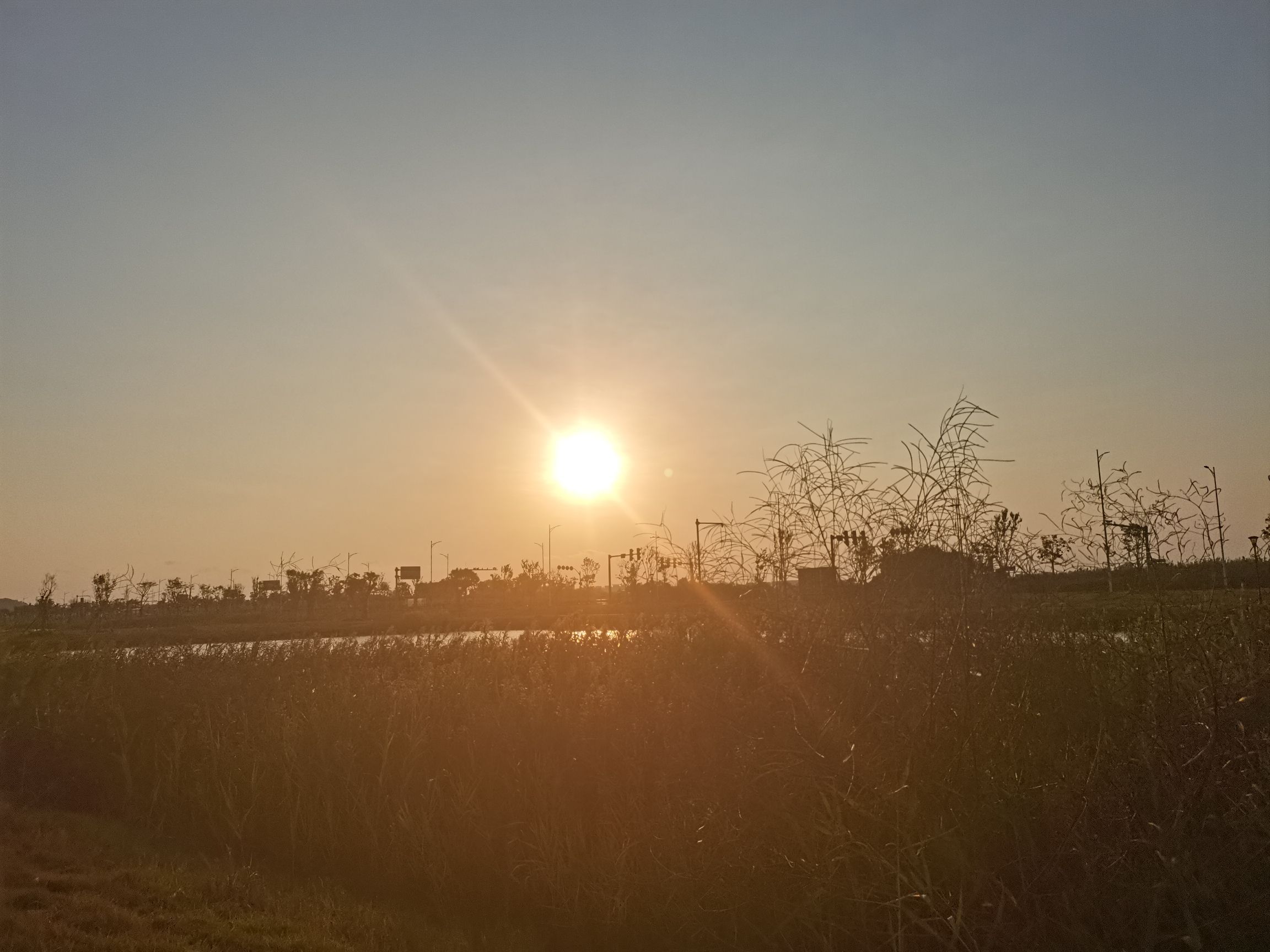 海明公园旅行图片 2