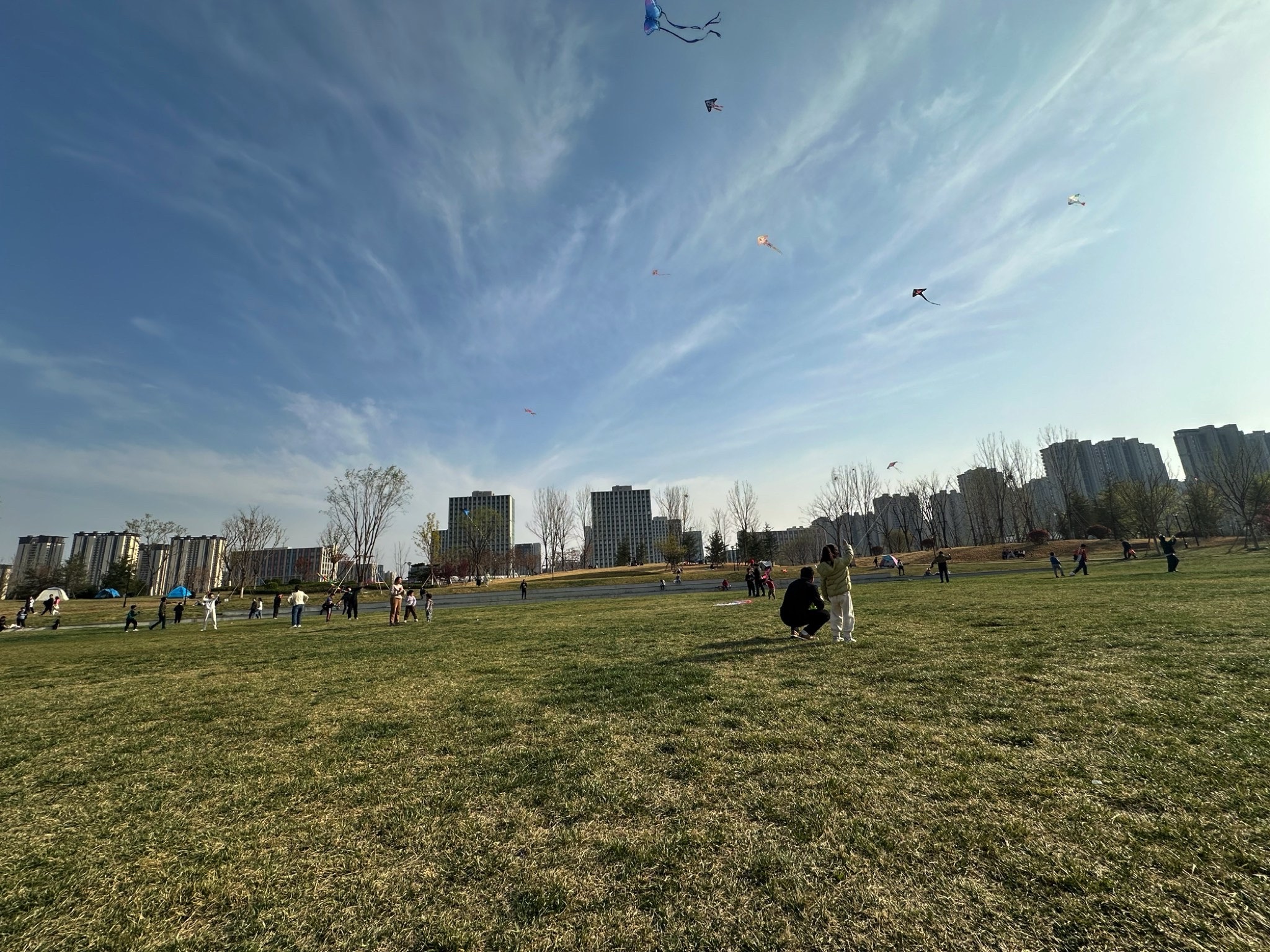 唐冶中央公园旅行图片 1