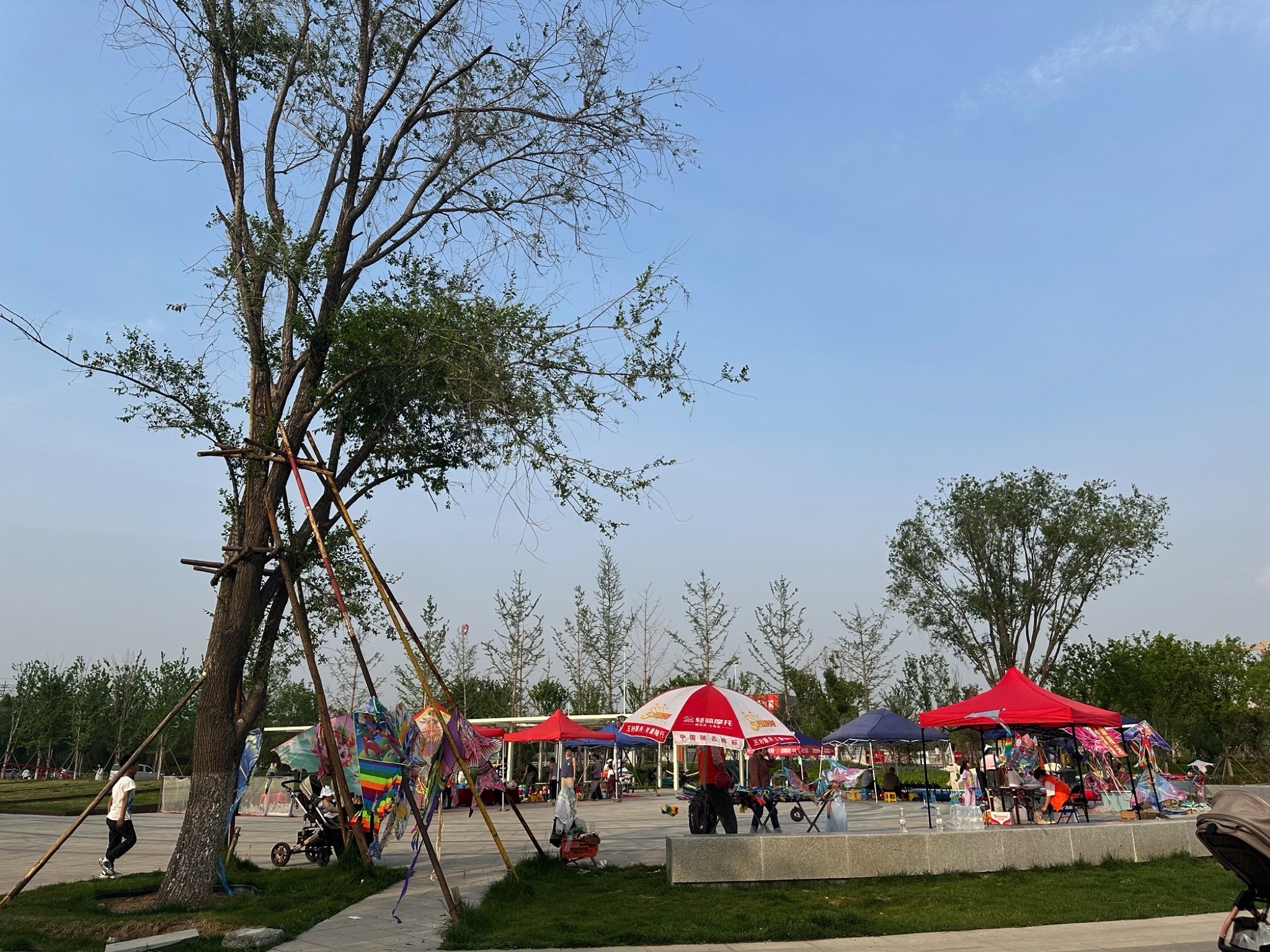 唐冶中央公园旅行图片 3