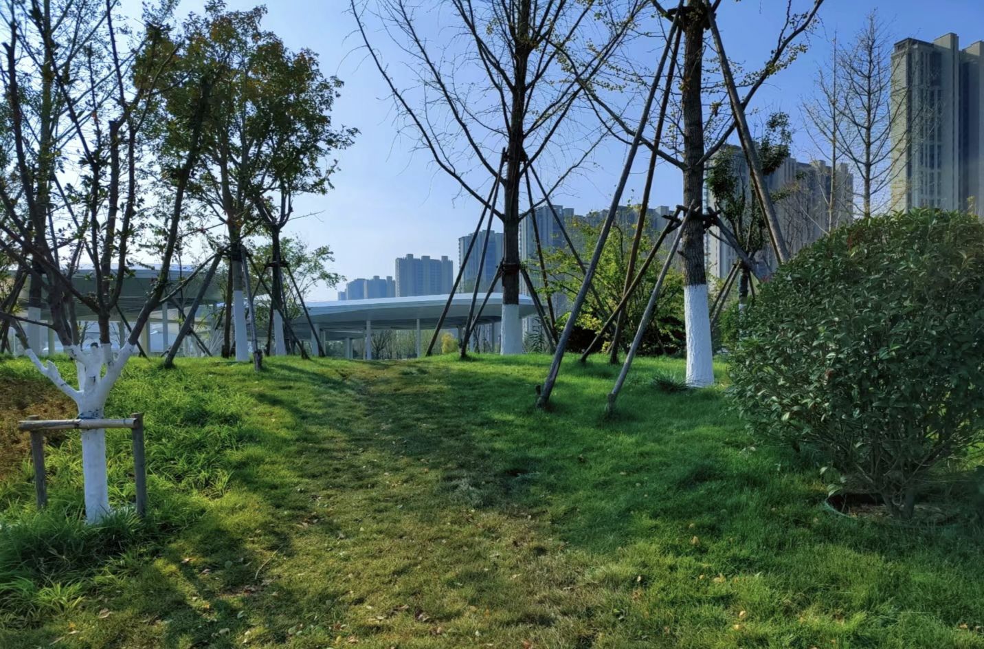唐冶中央公园旅行图片 3
