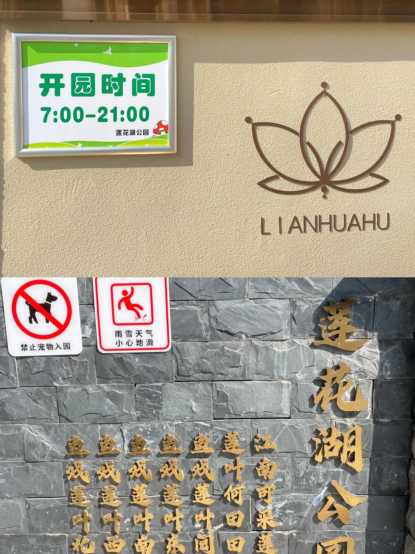 东西湖莲花湖公园旅行图片 1