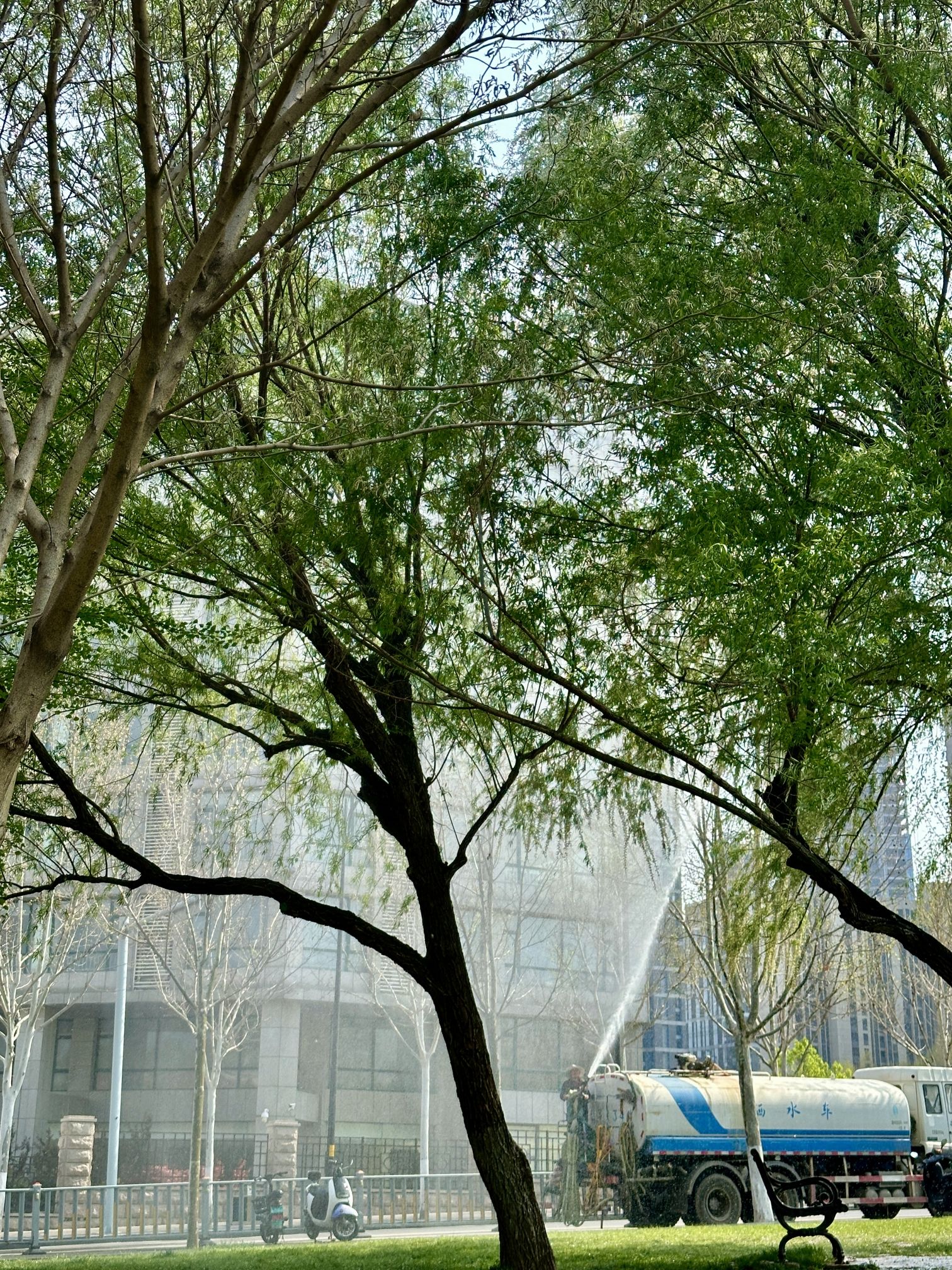 科创金融公园旅行图片 3