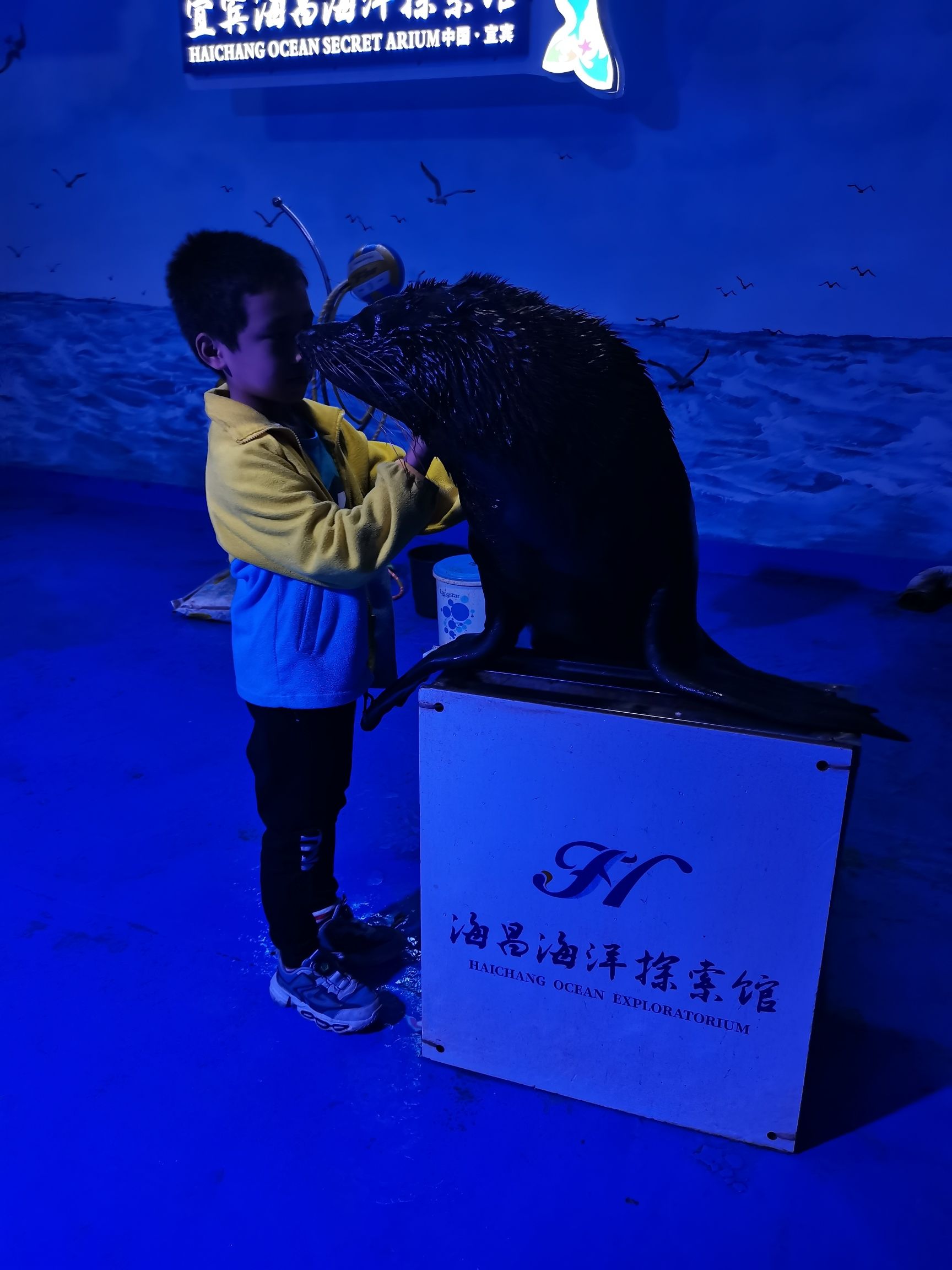 宜宾海昌海洋探索馆旅行图片 3