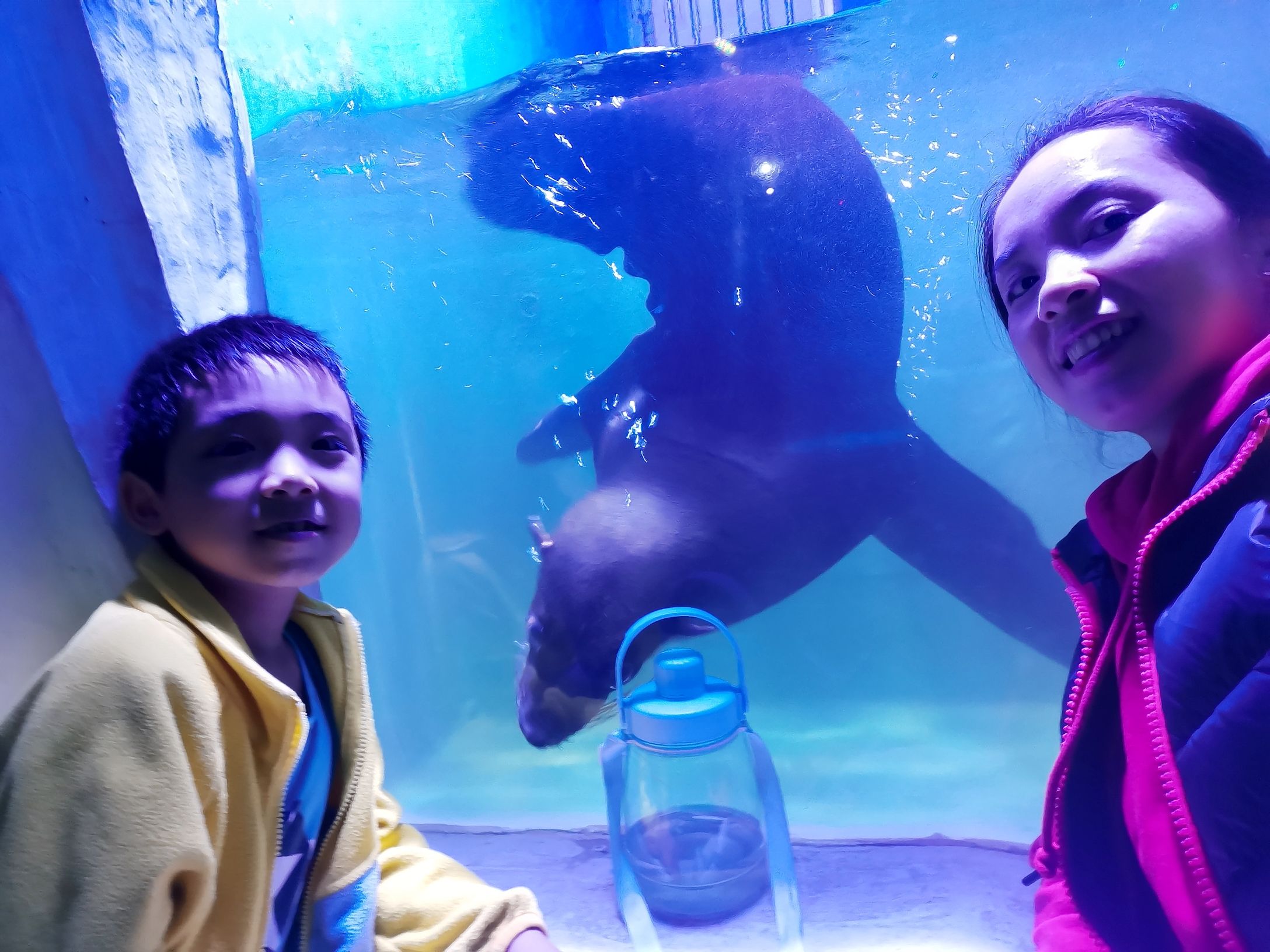 宜宾海昌海洋探索馆旅行图片 1