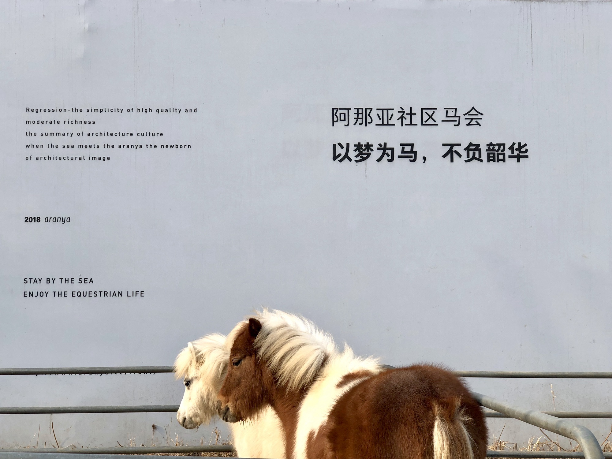 阿那亚湿地体育公园旅行图片 1