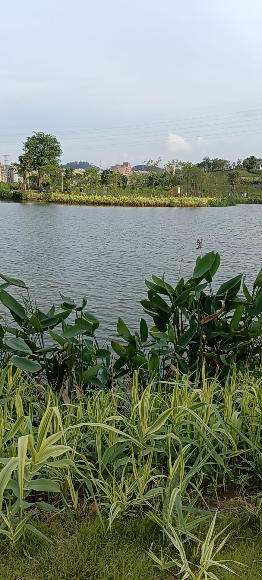 水塘江力波体育休闲公园旅行图片 1