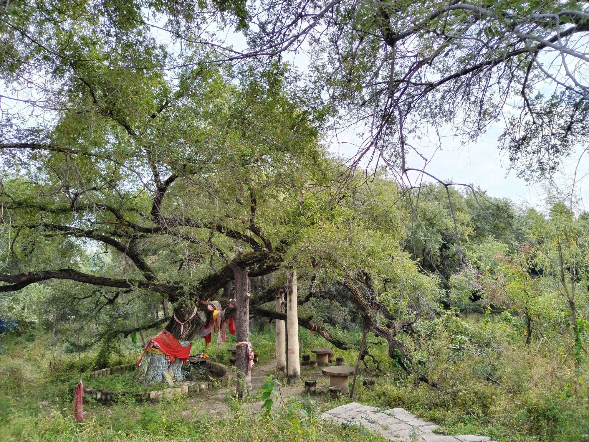 松江遗址(四方台)旅行图片 2