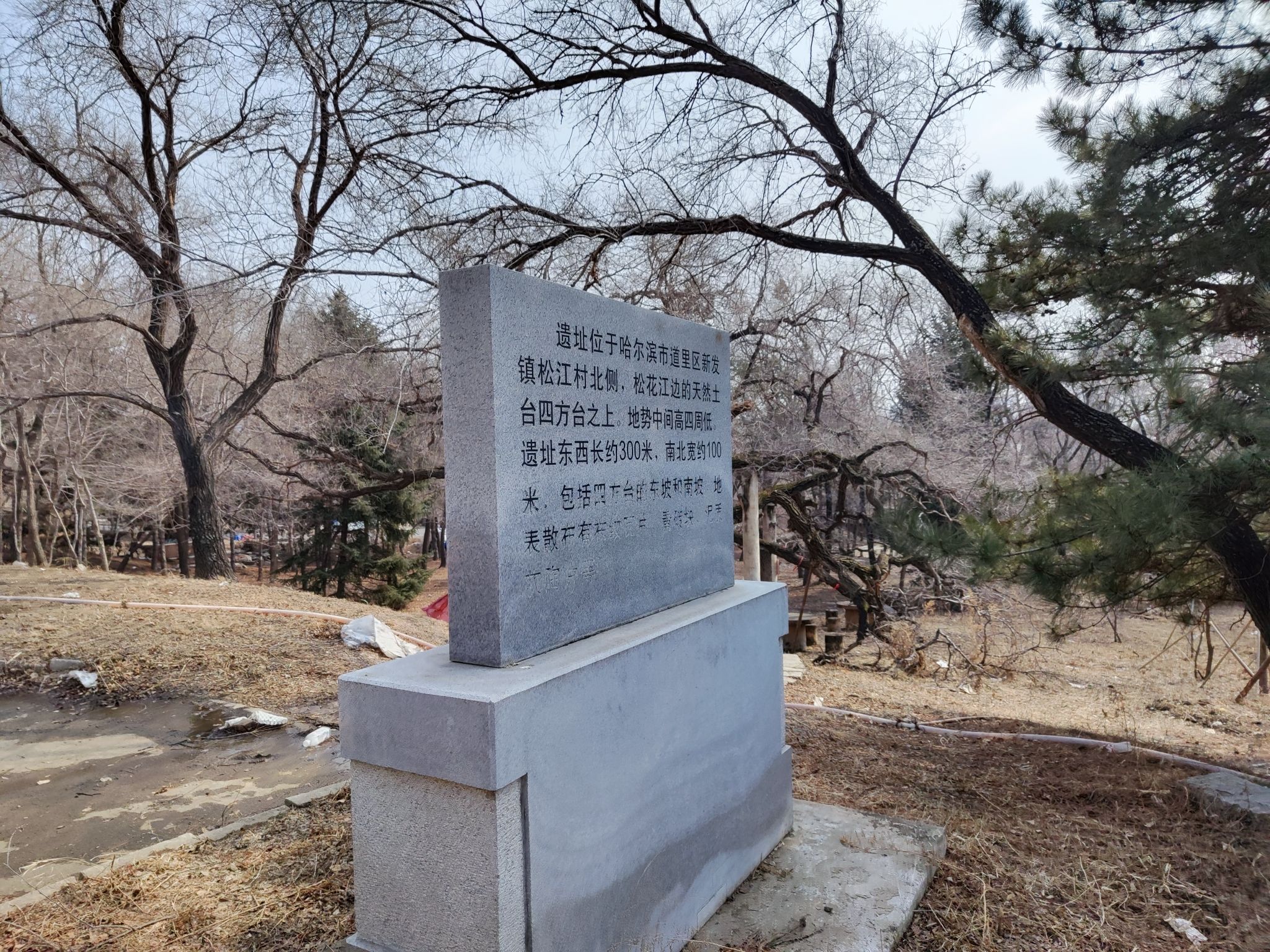 松江遗址(四方台)旅行图片 1