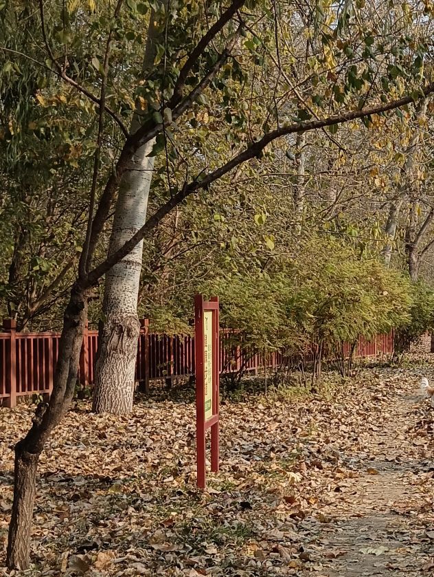 羊头岗城市森林公园旅行图片 2