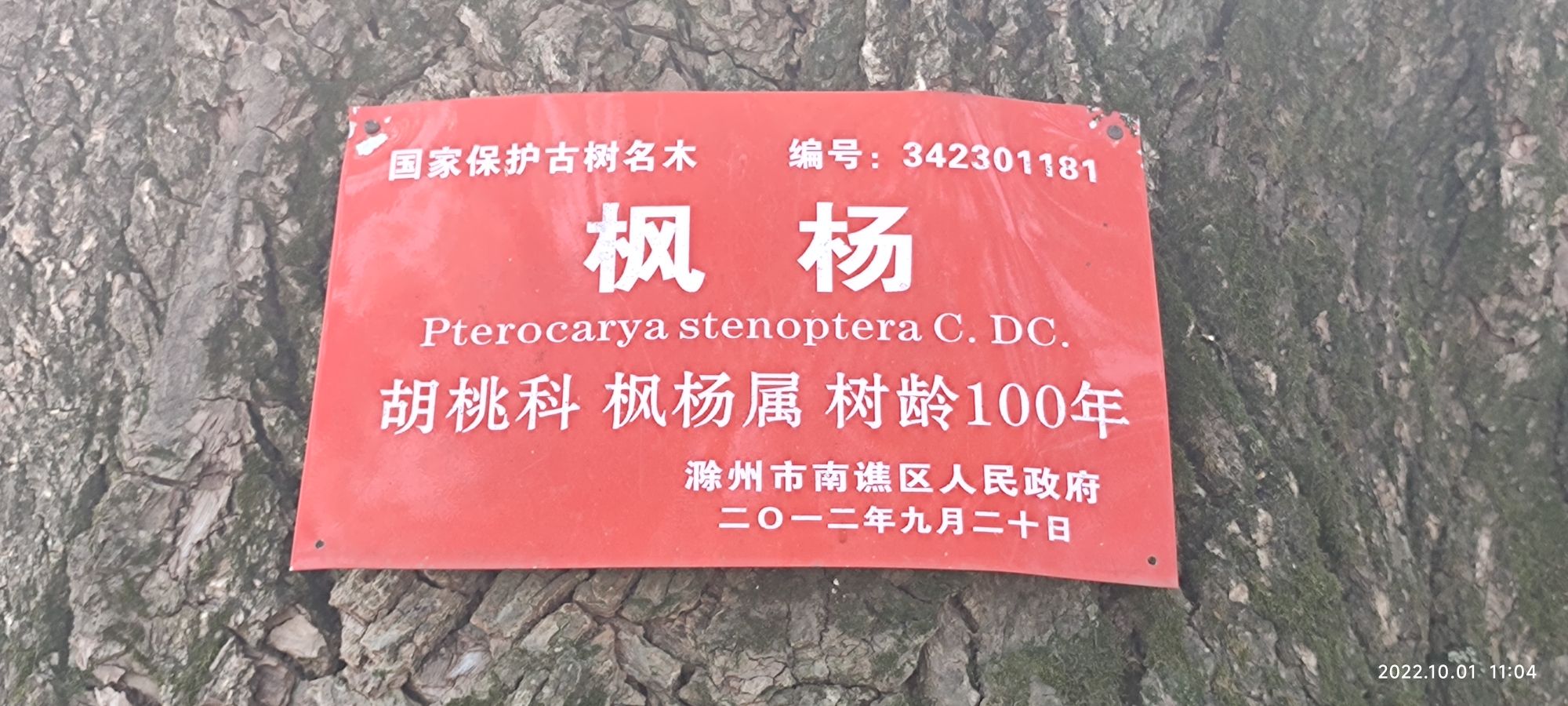 乡村记忆馆旅行图片 2