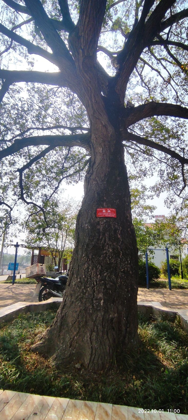 乡村记忆馆旅行图片 1