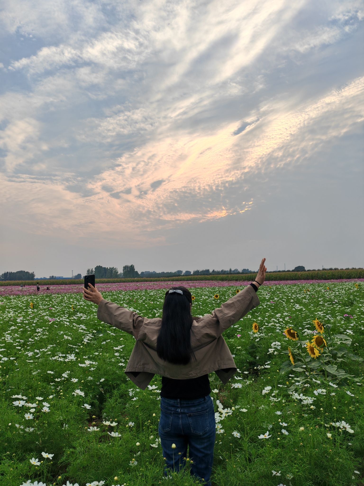 豫见花田旅行图片 2