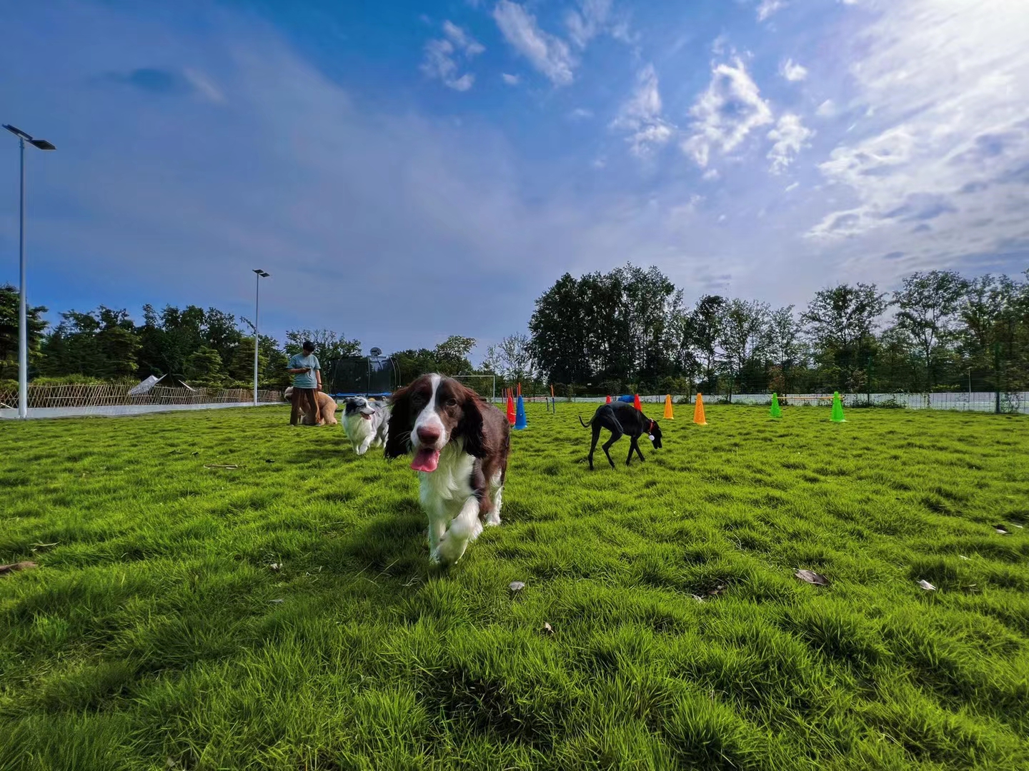 场地封面-咔哇谷宠物野趣营地