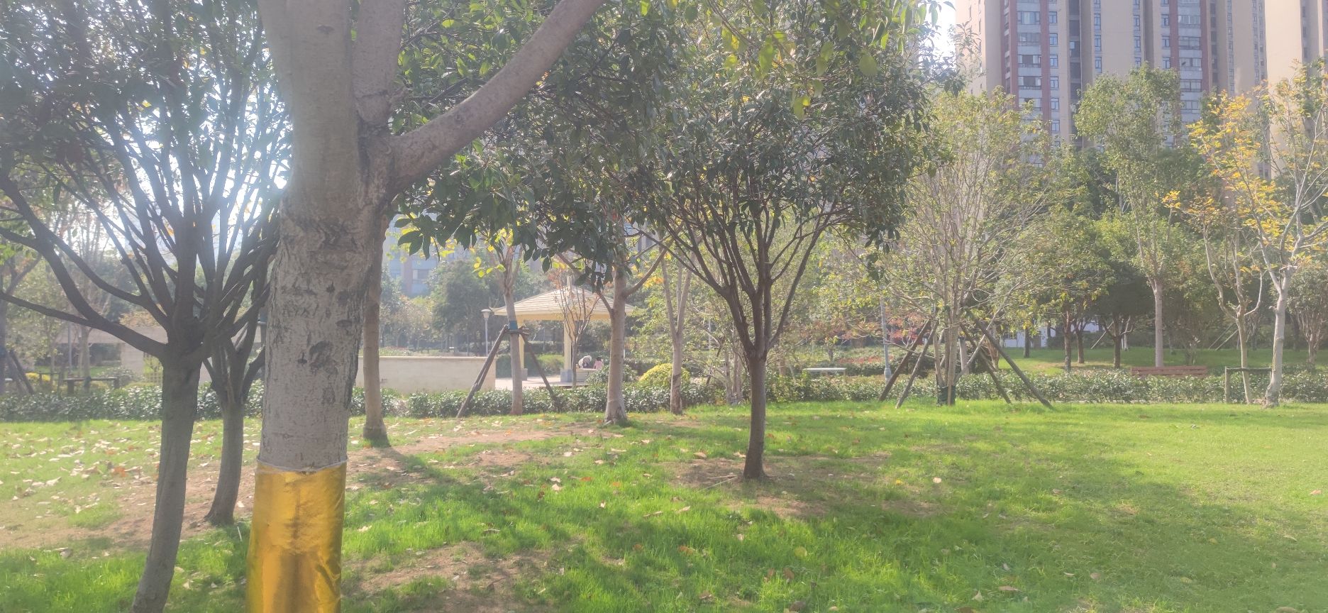 幸福公园旅行图片 3