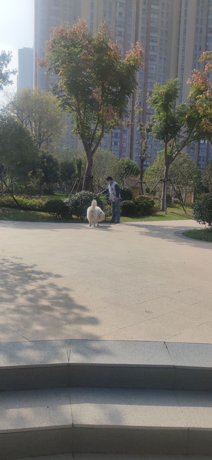 幸福公园旅行图片 2