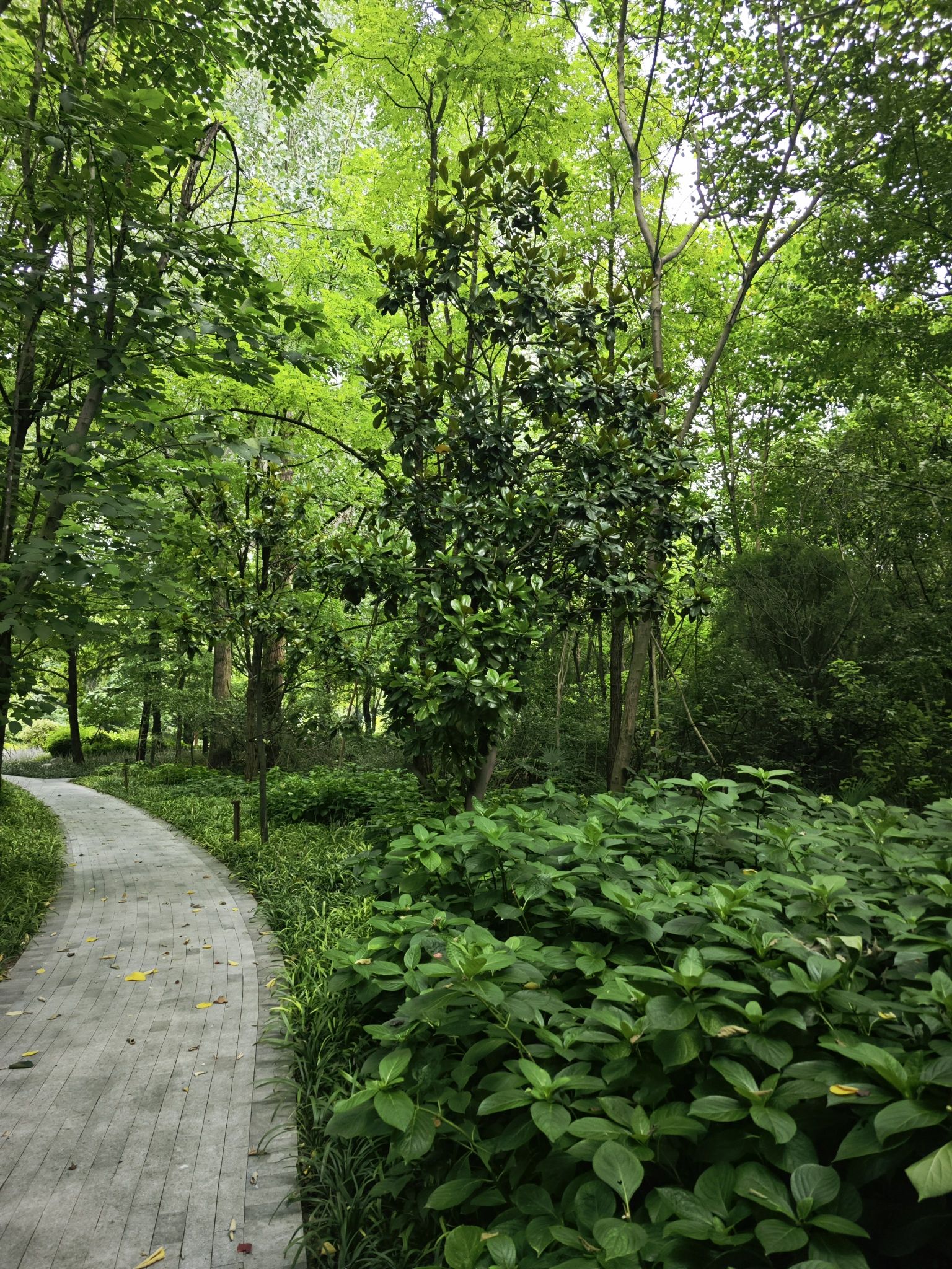 鸟悦园旅行图片 3