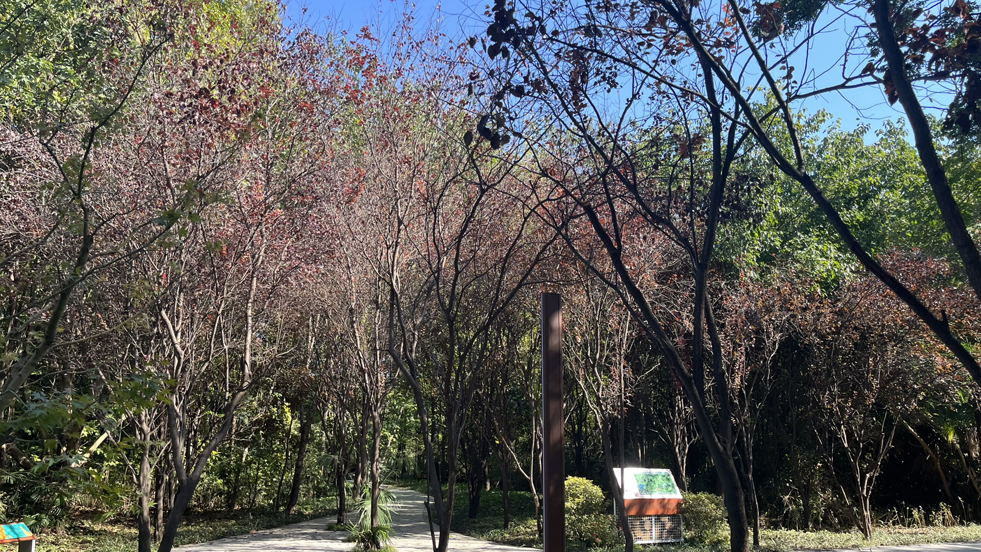 鸟悦园旅行图片 2
