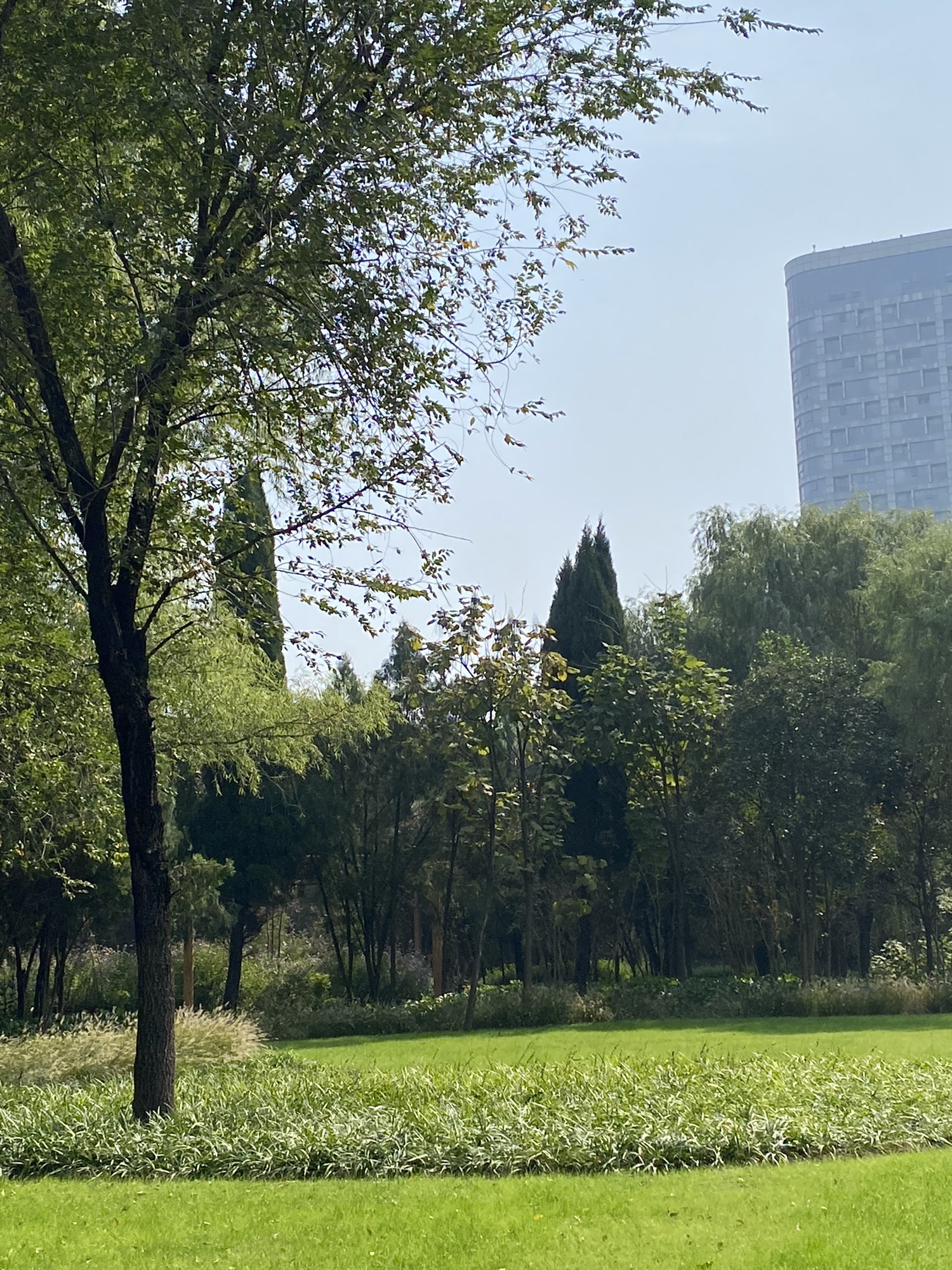 鸟悦园旅行图片 3