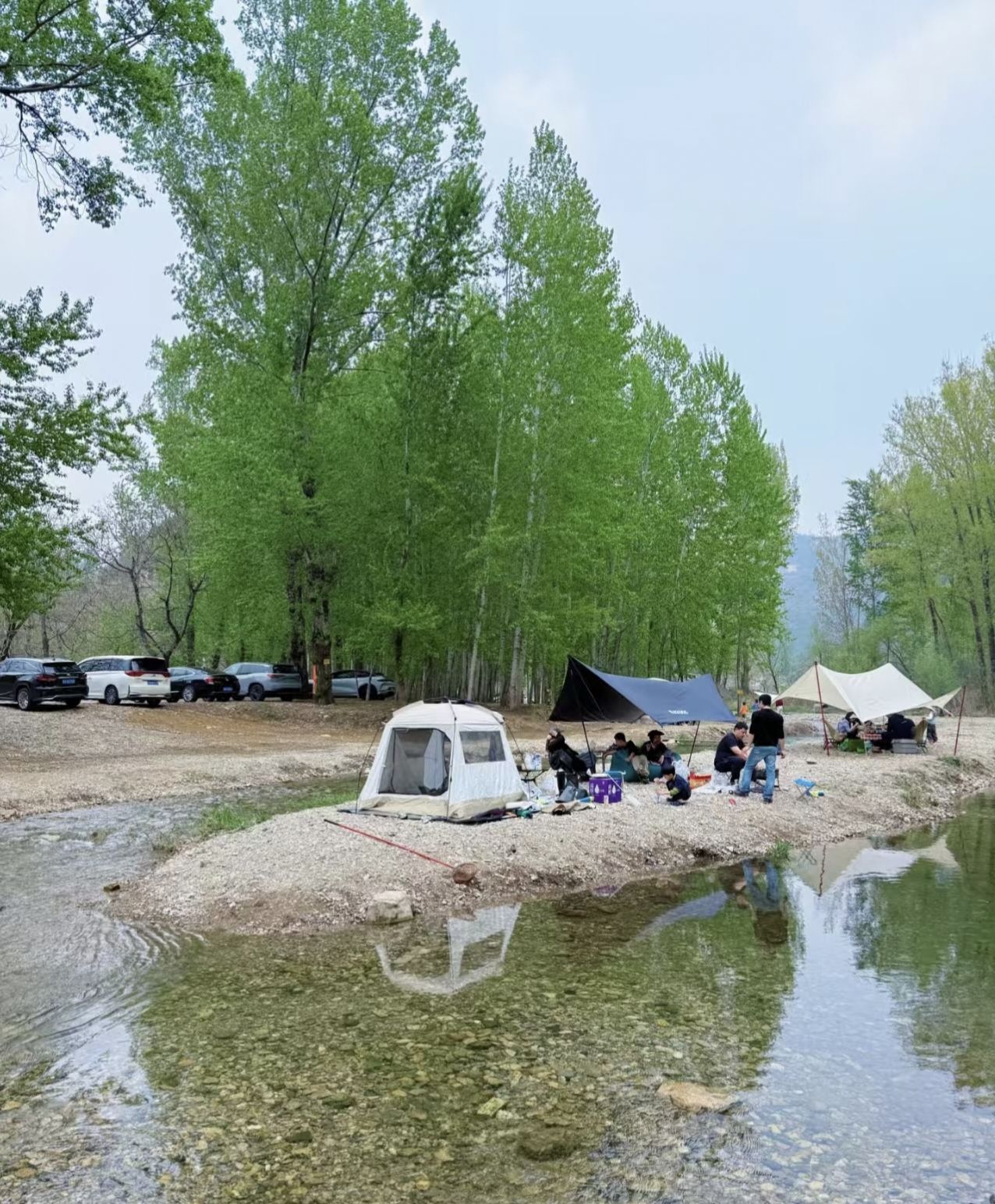 场地封面-池畔露营垂钓园