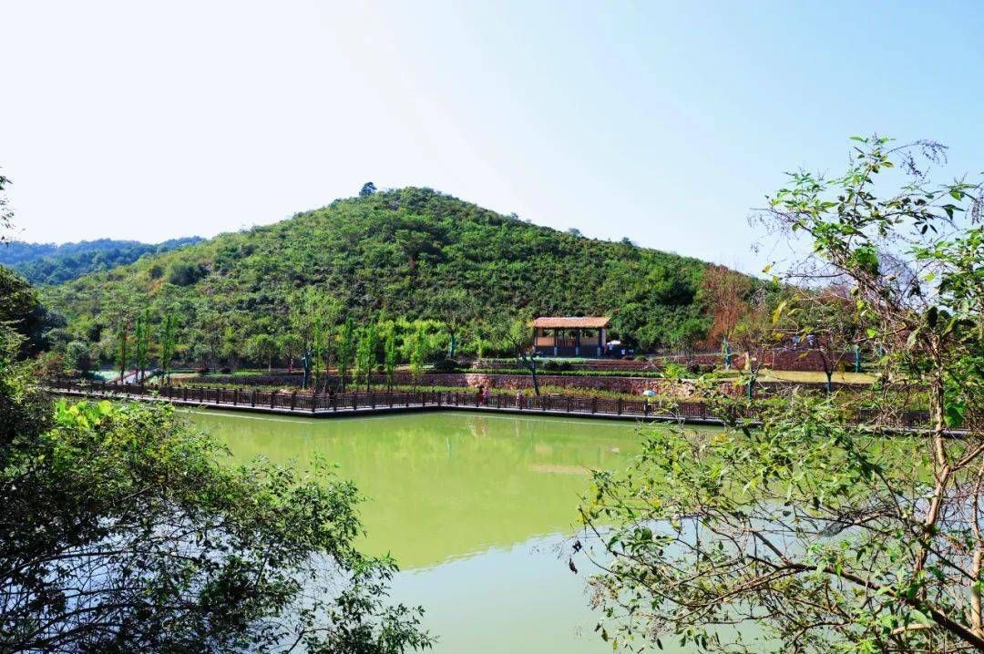 凤凰谷里旅行图片 1