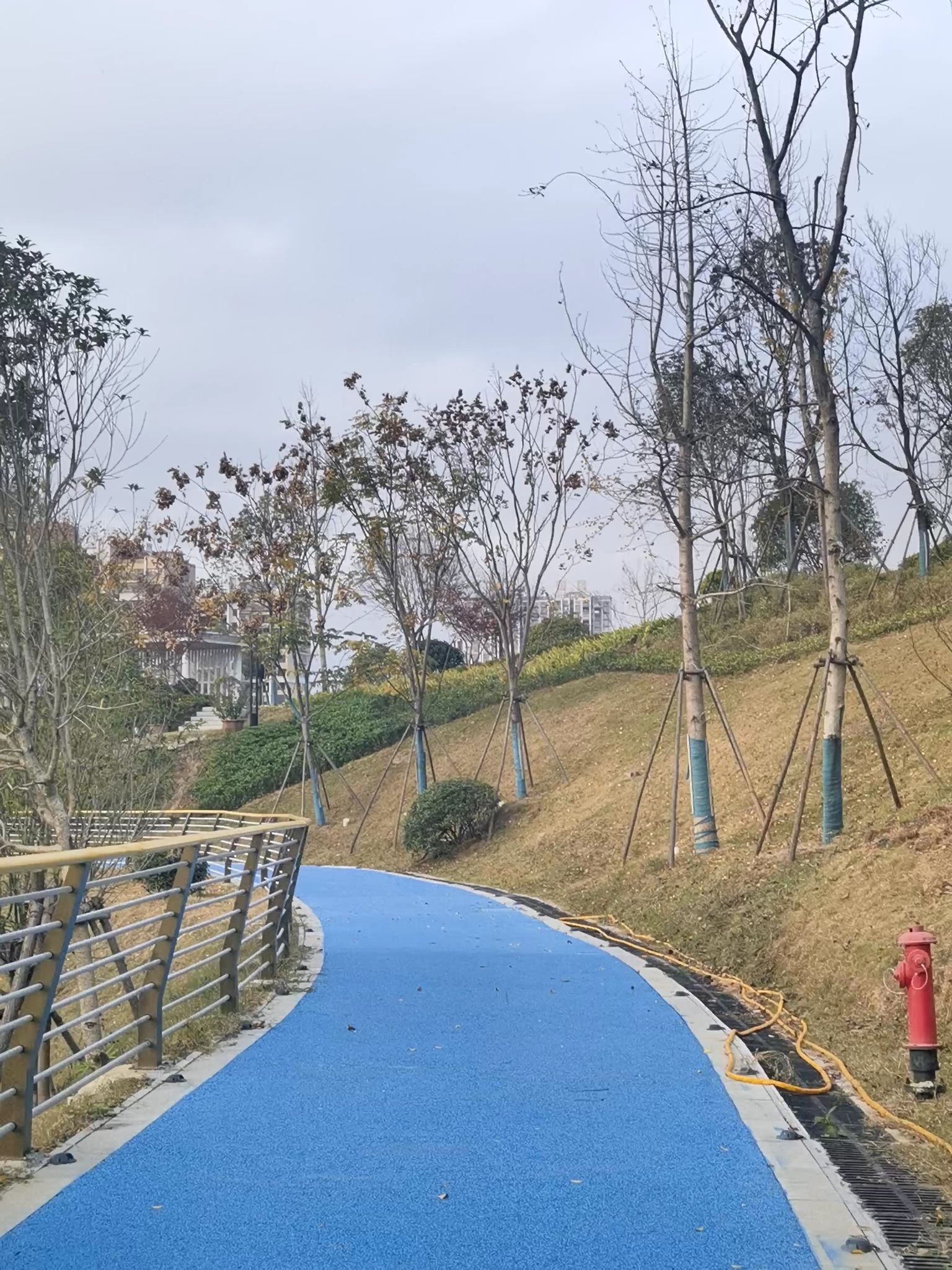 宁都县城南市民公园旅行图片 2