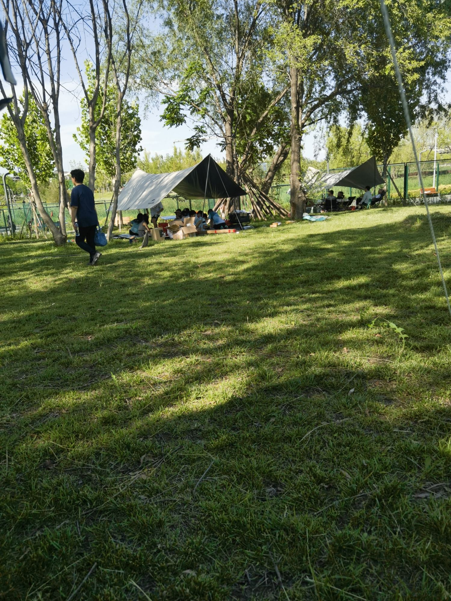 青甸湖公园旅行图片 2