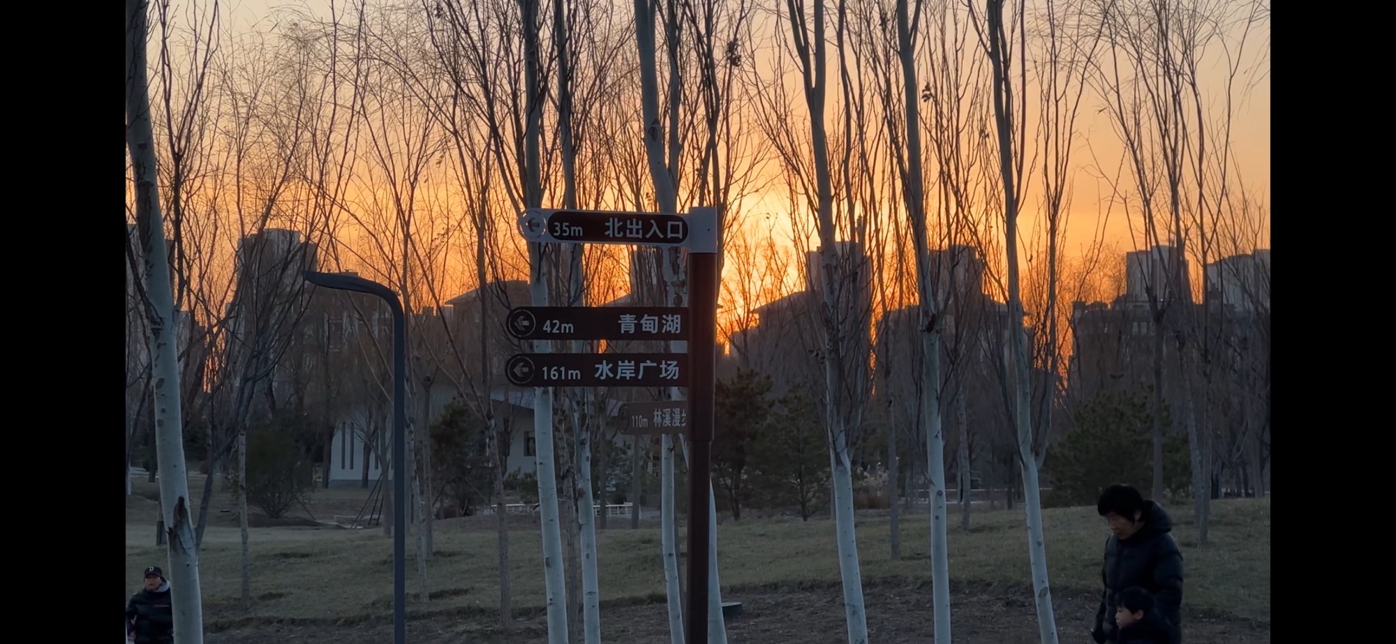 青甸湖公园旅行图片 1