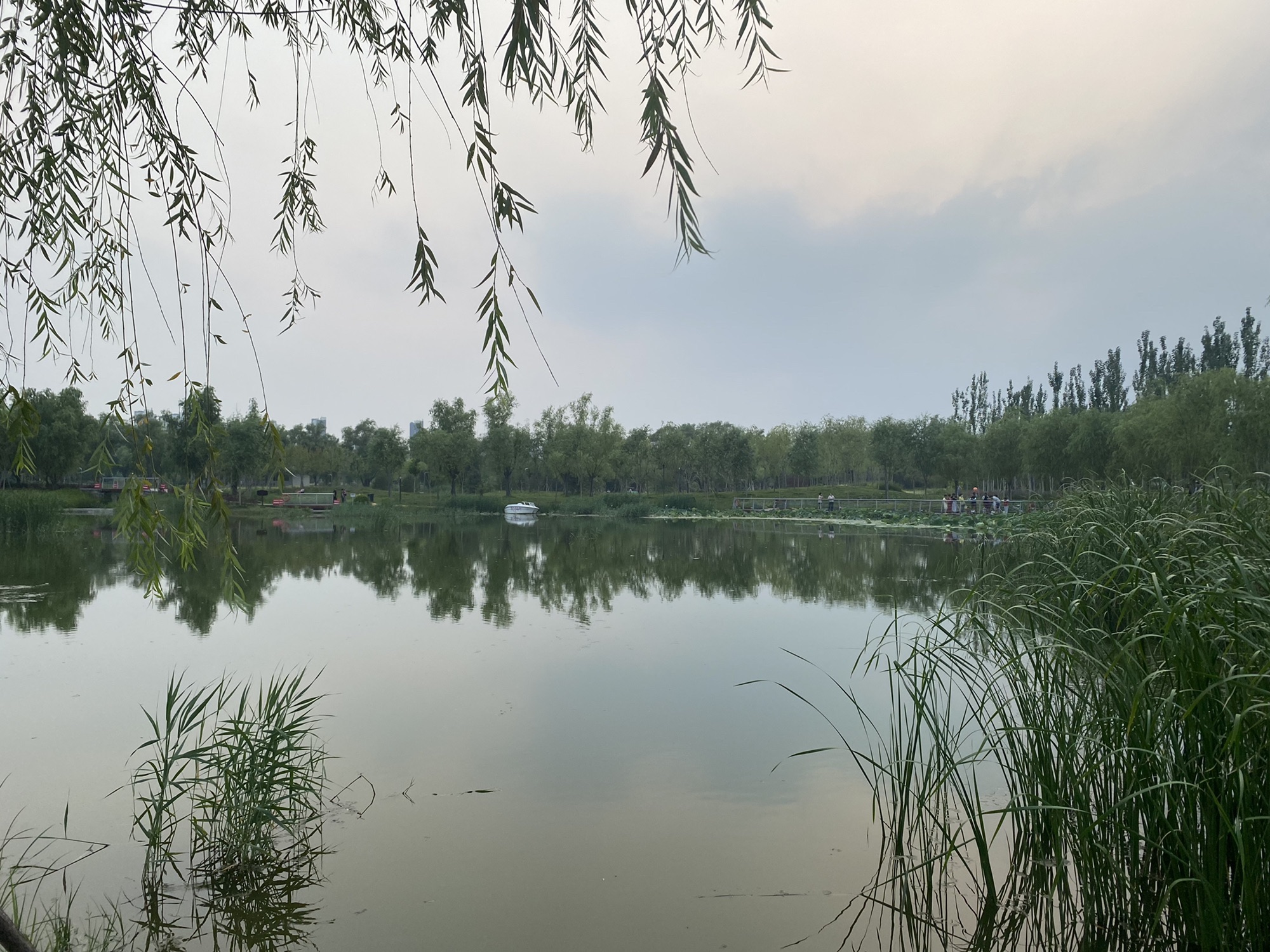 青甸湖公园旅行图片 3