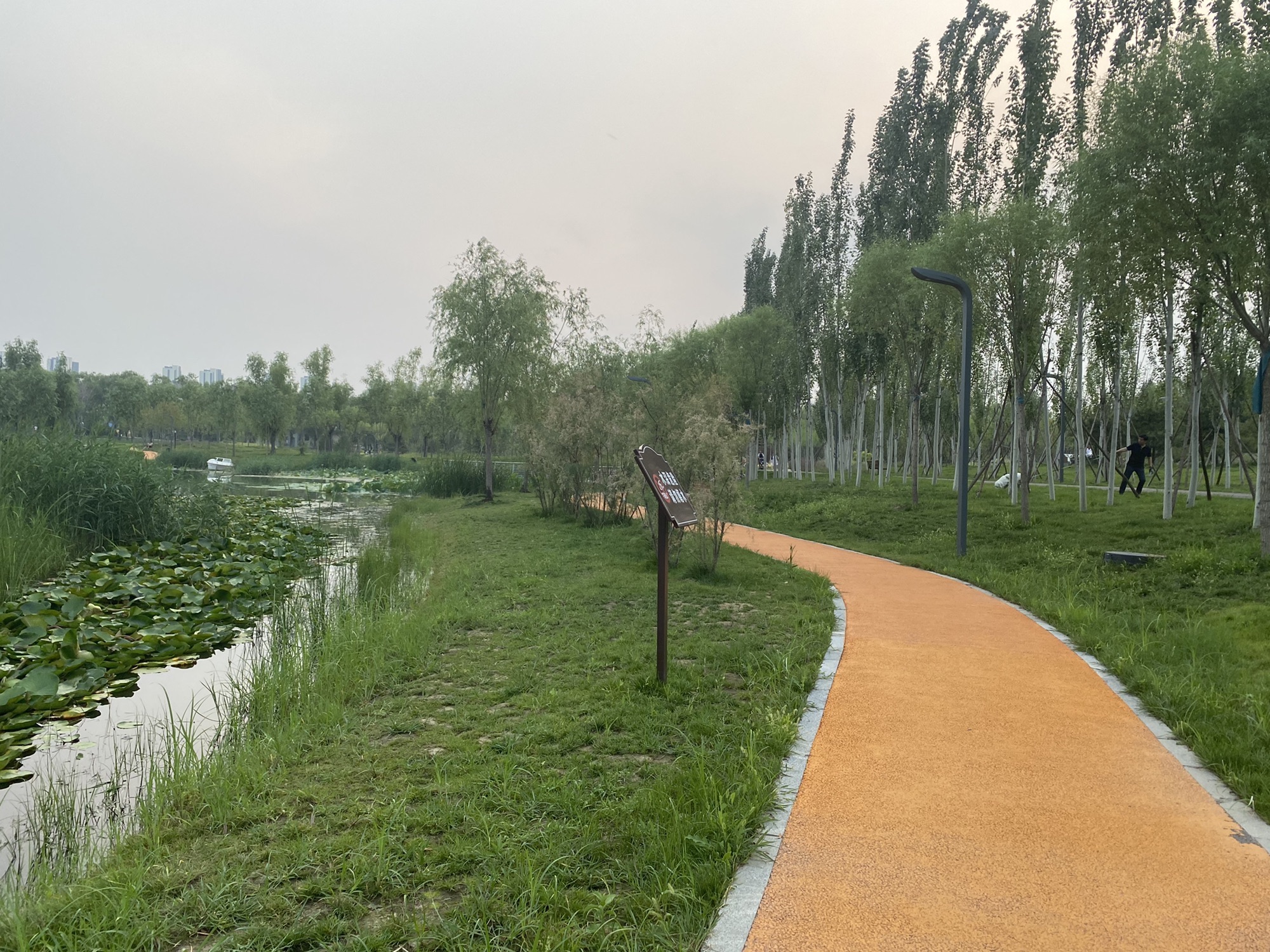 青甸湖公园旅行图片 1
