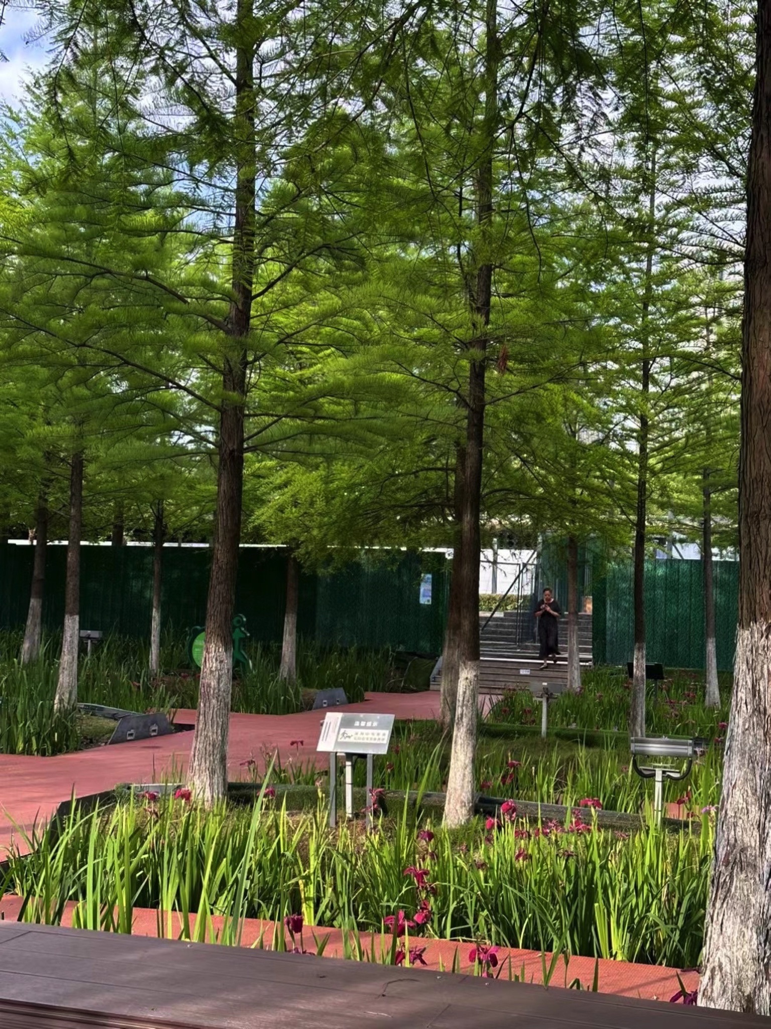 西大河公园旅行图片 1