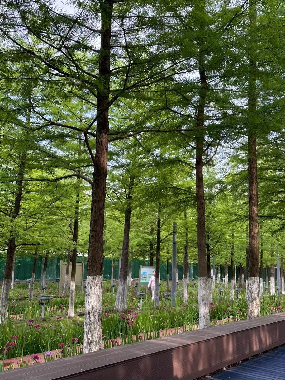 西大河公园旅行图片 3