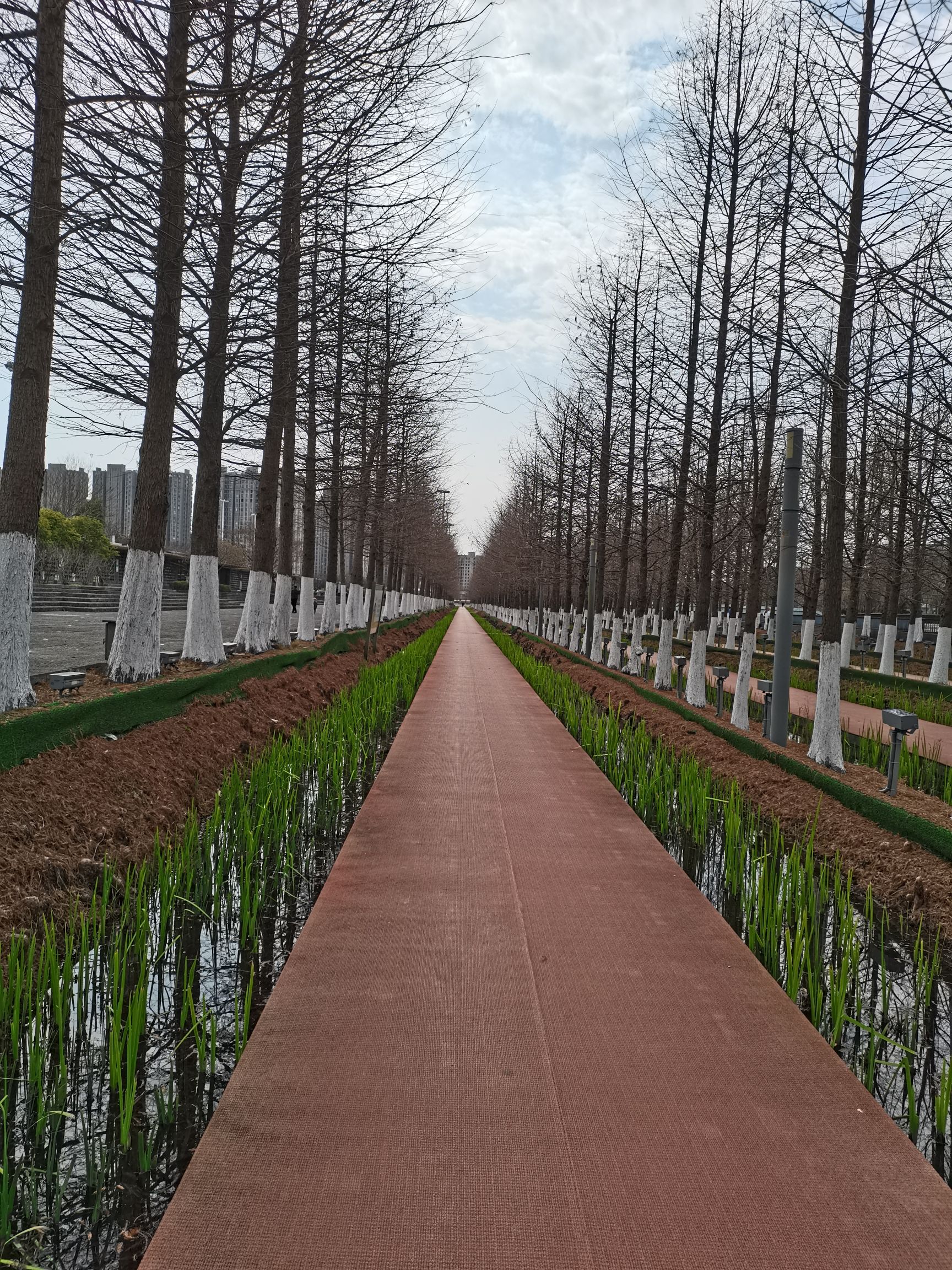 西大河公园旅行图片 2