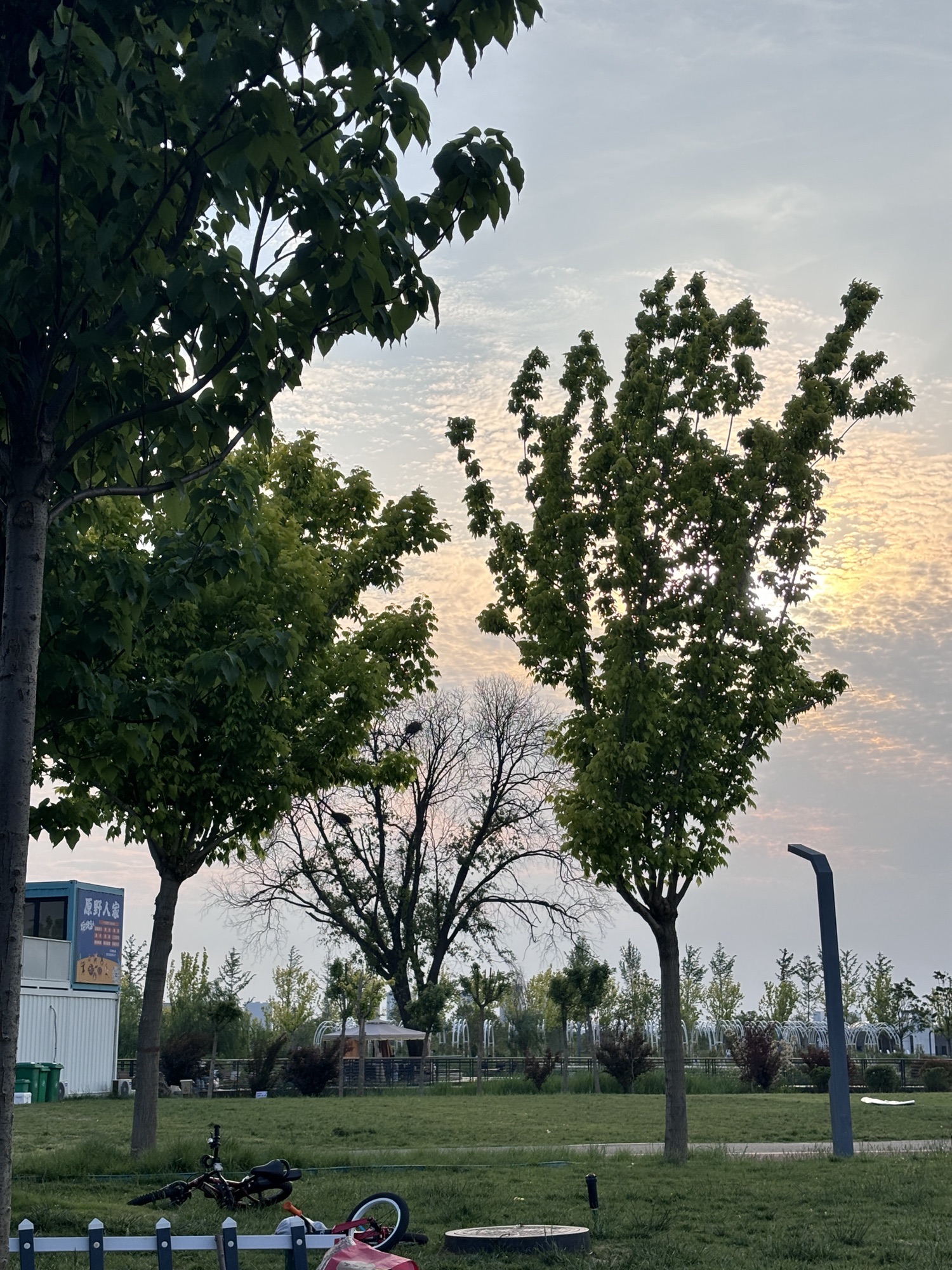 伊滨中央公园旅行图片 3