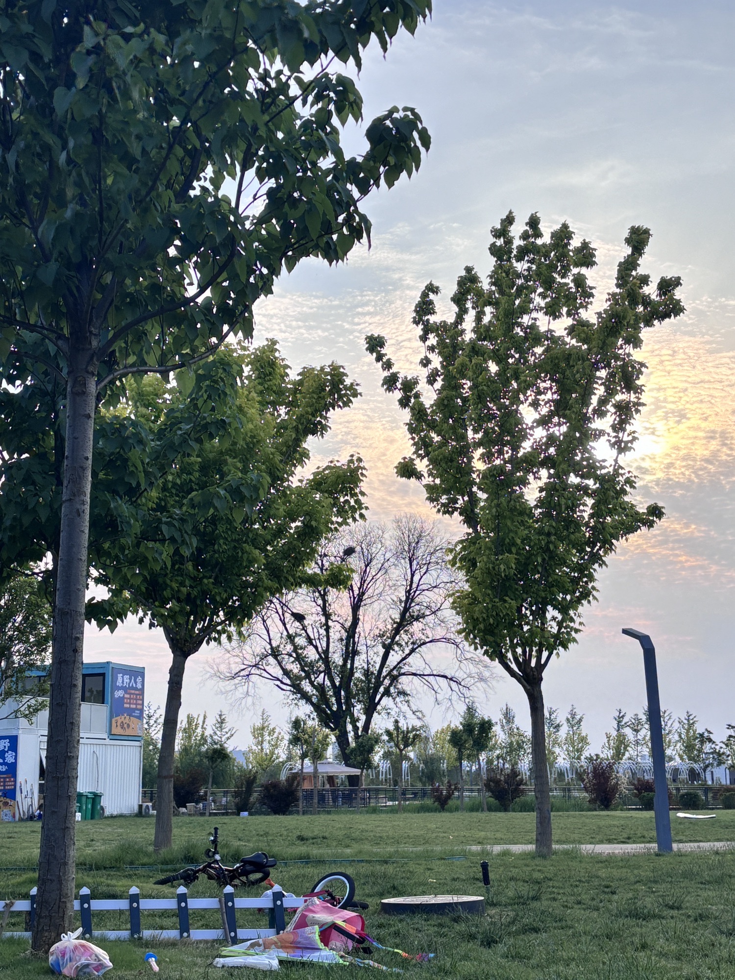 伊滨中央公园旅行图片 2