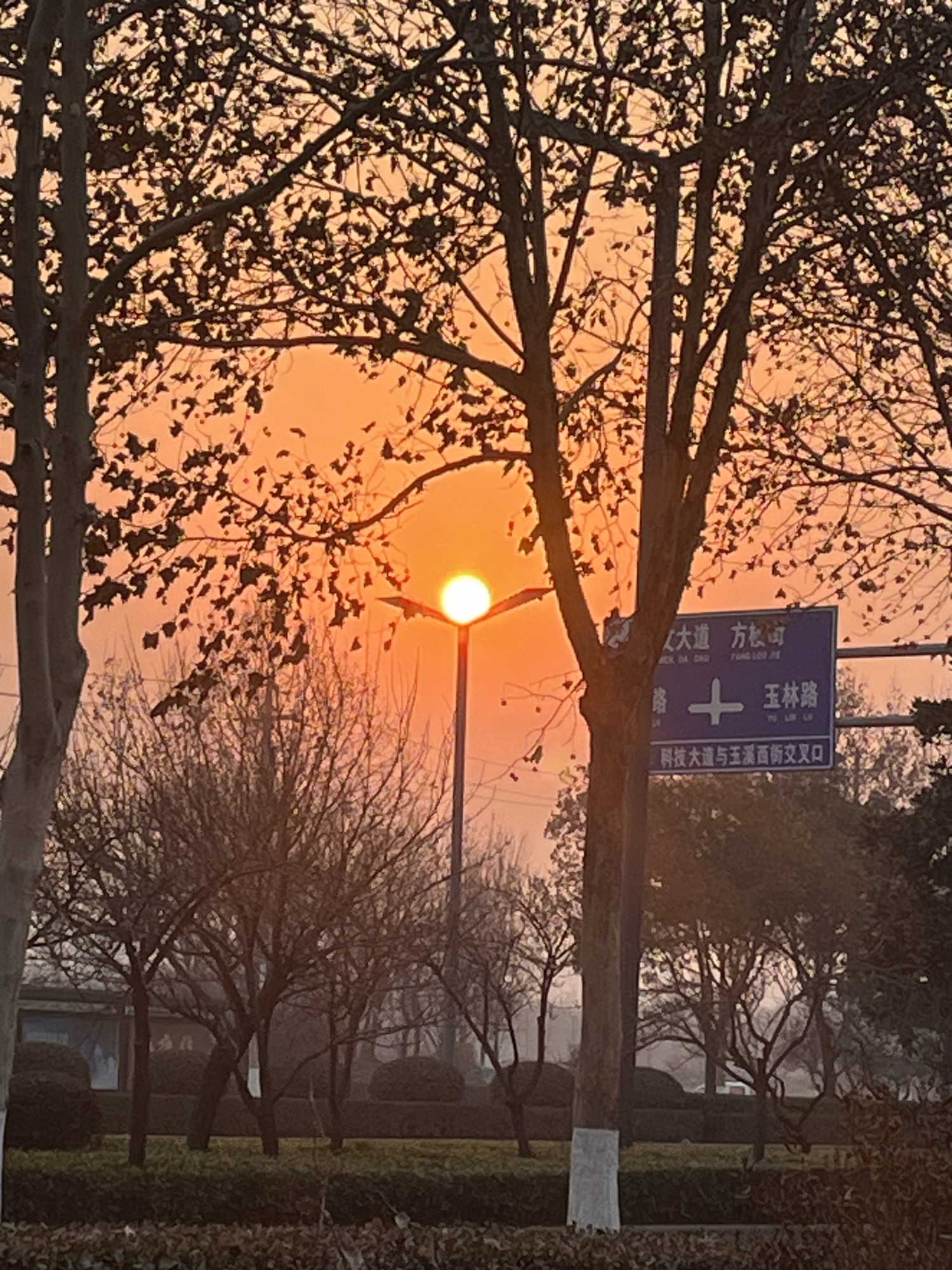 伊滨中央公园旅行图片 3