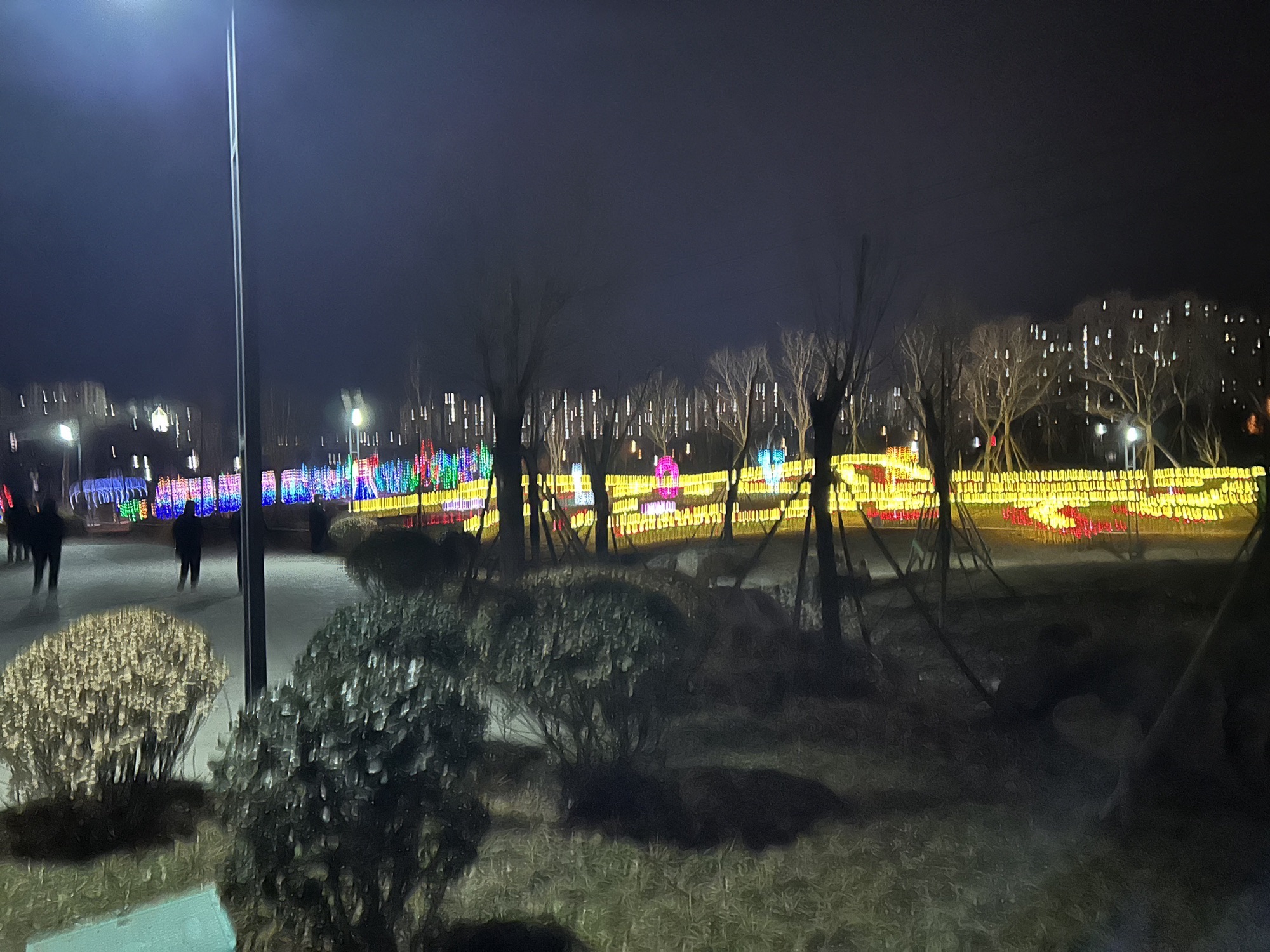 兴隆公园旅行图片 3
