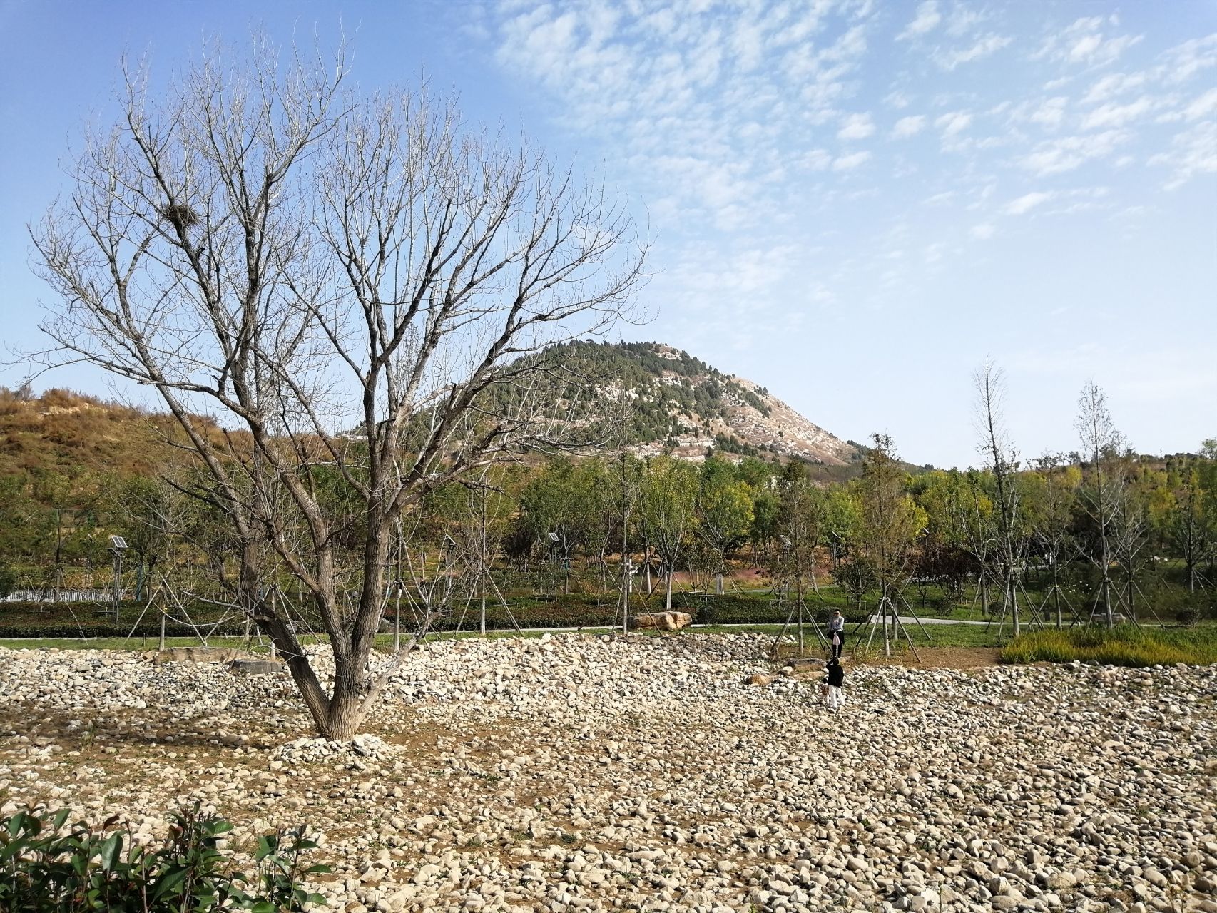 兴隆公园旅行图片 3