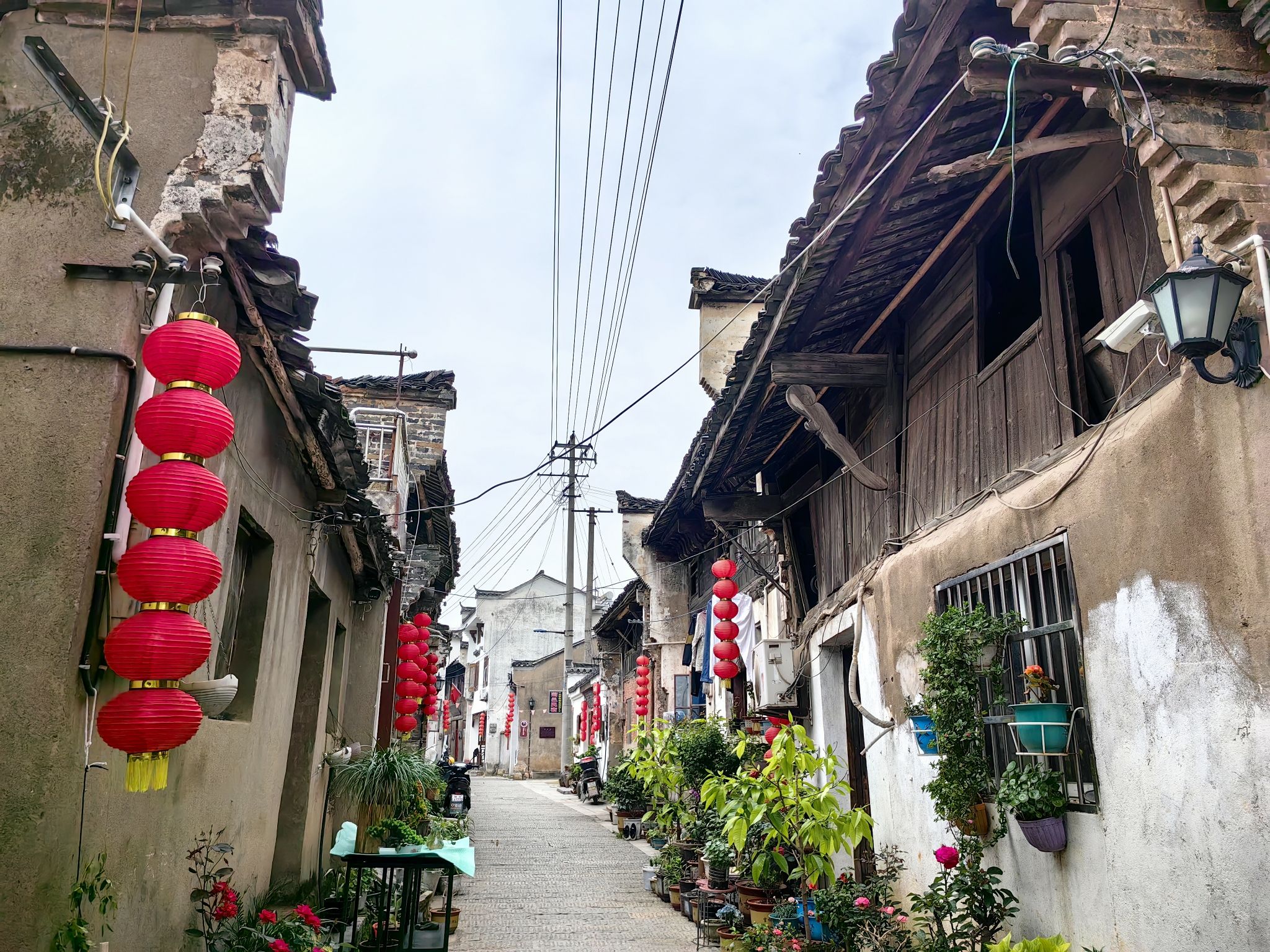 东流镇东流老街旅行图片 3