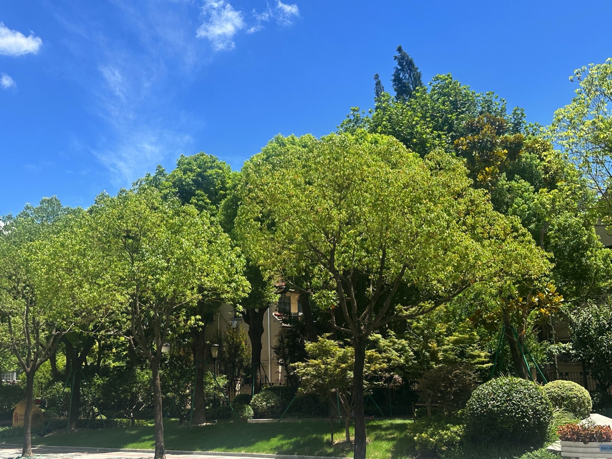 种德路桥公园旅行图片 1