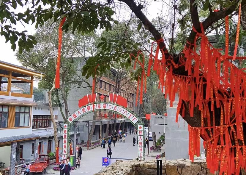 射洪三五三六工厂旧址旅行图片 1