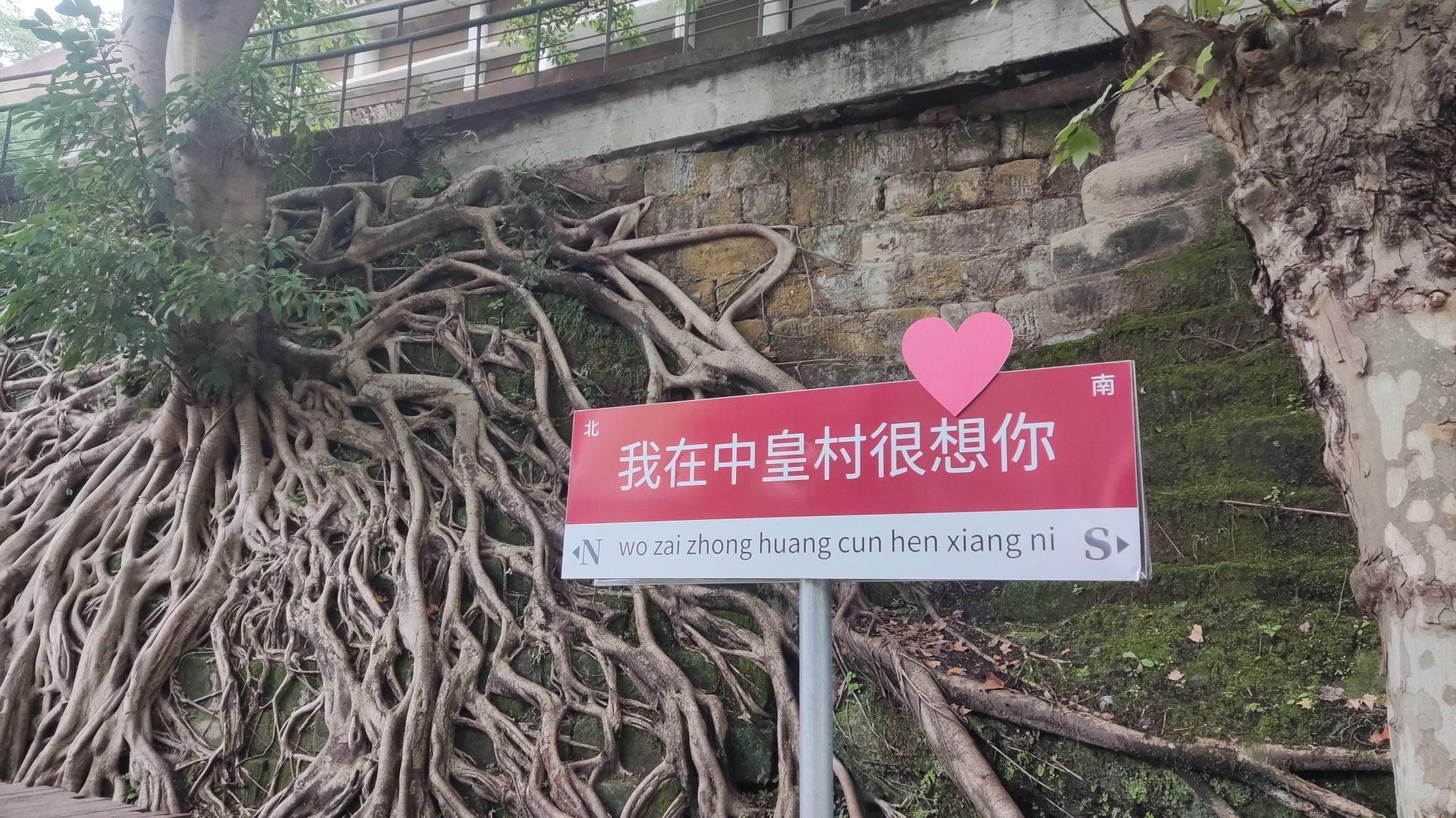 射洪三五三六工厂旧址旅行图片 2