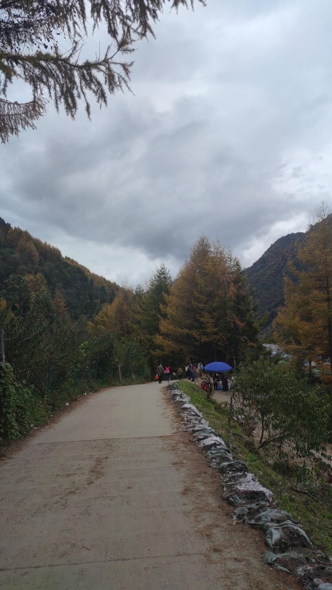 松林湾旅行图片 3