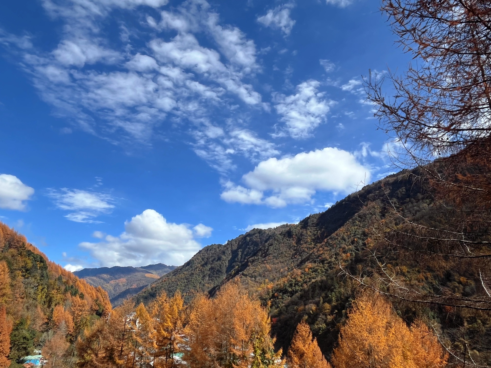 松林湾旅行图片 2