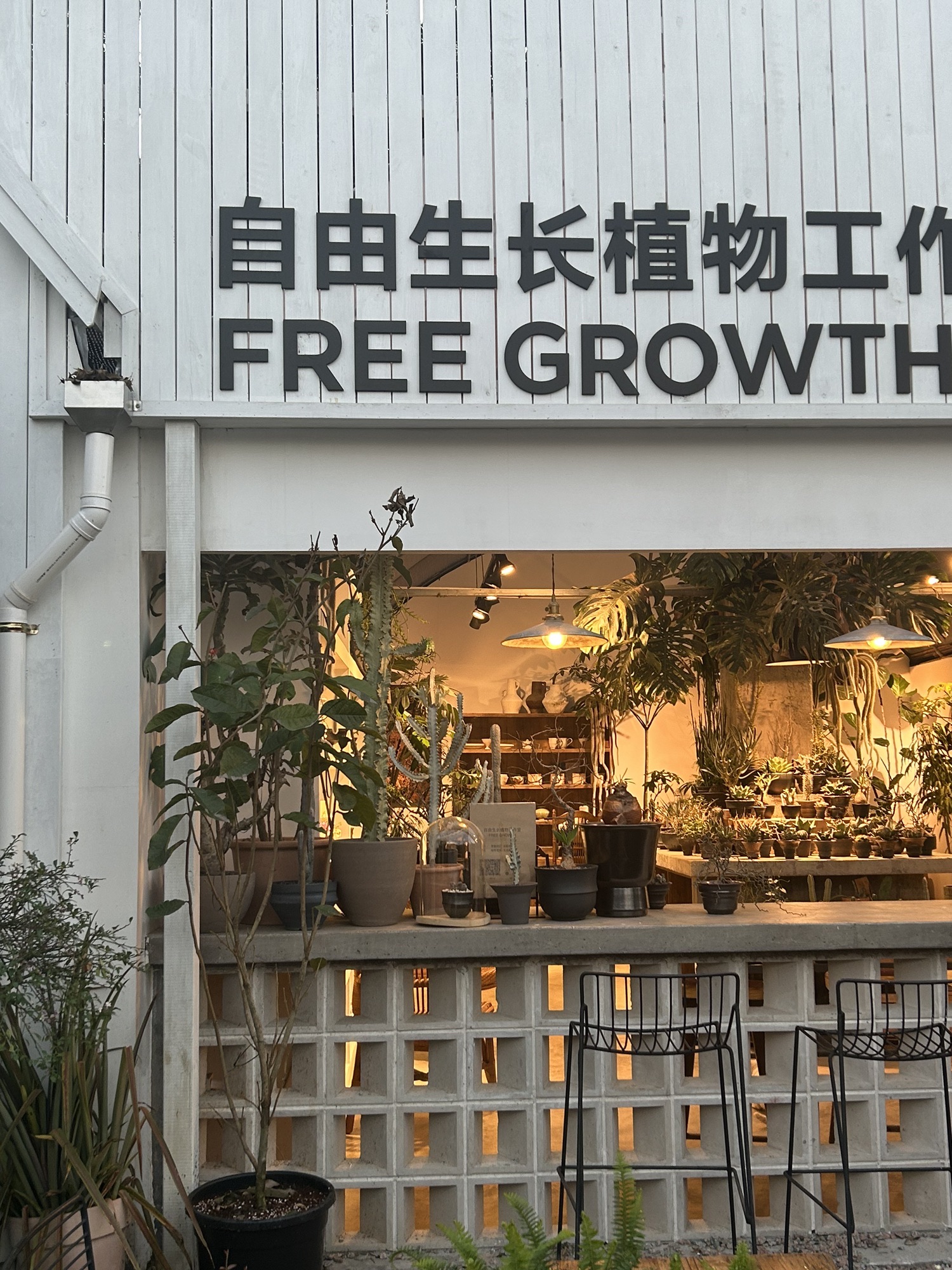 自由生长植物工作室(花卉中心店)