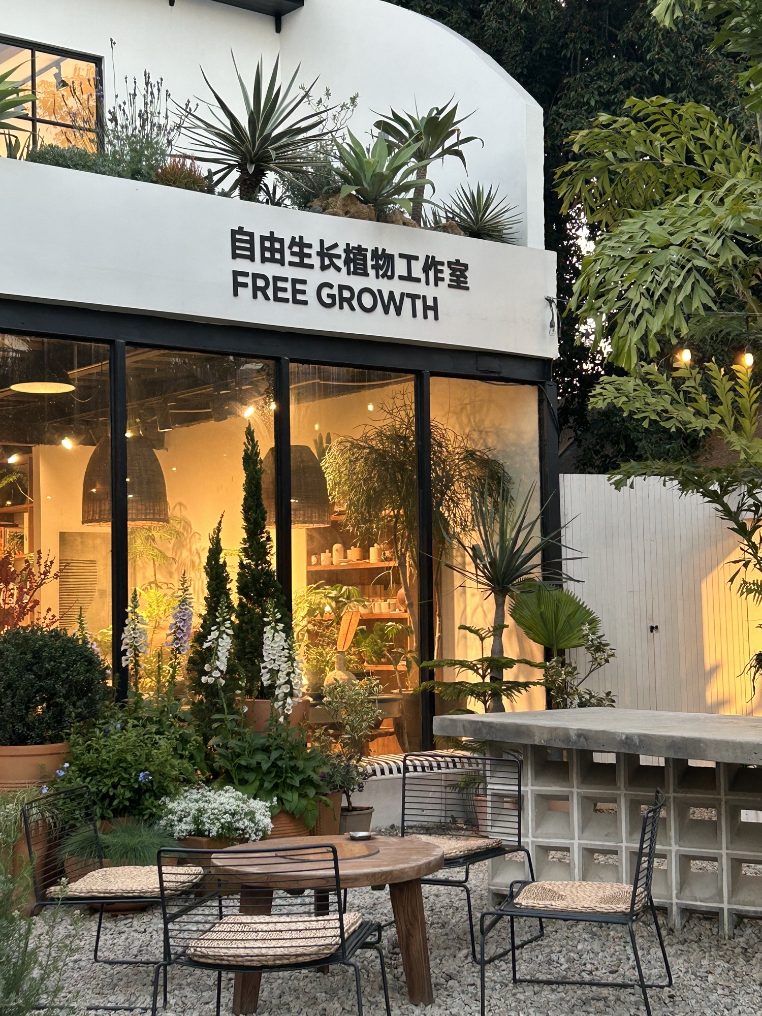 自由生长植物工作室(花卉中心店)
