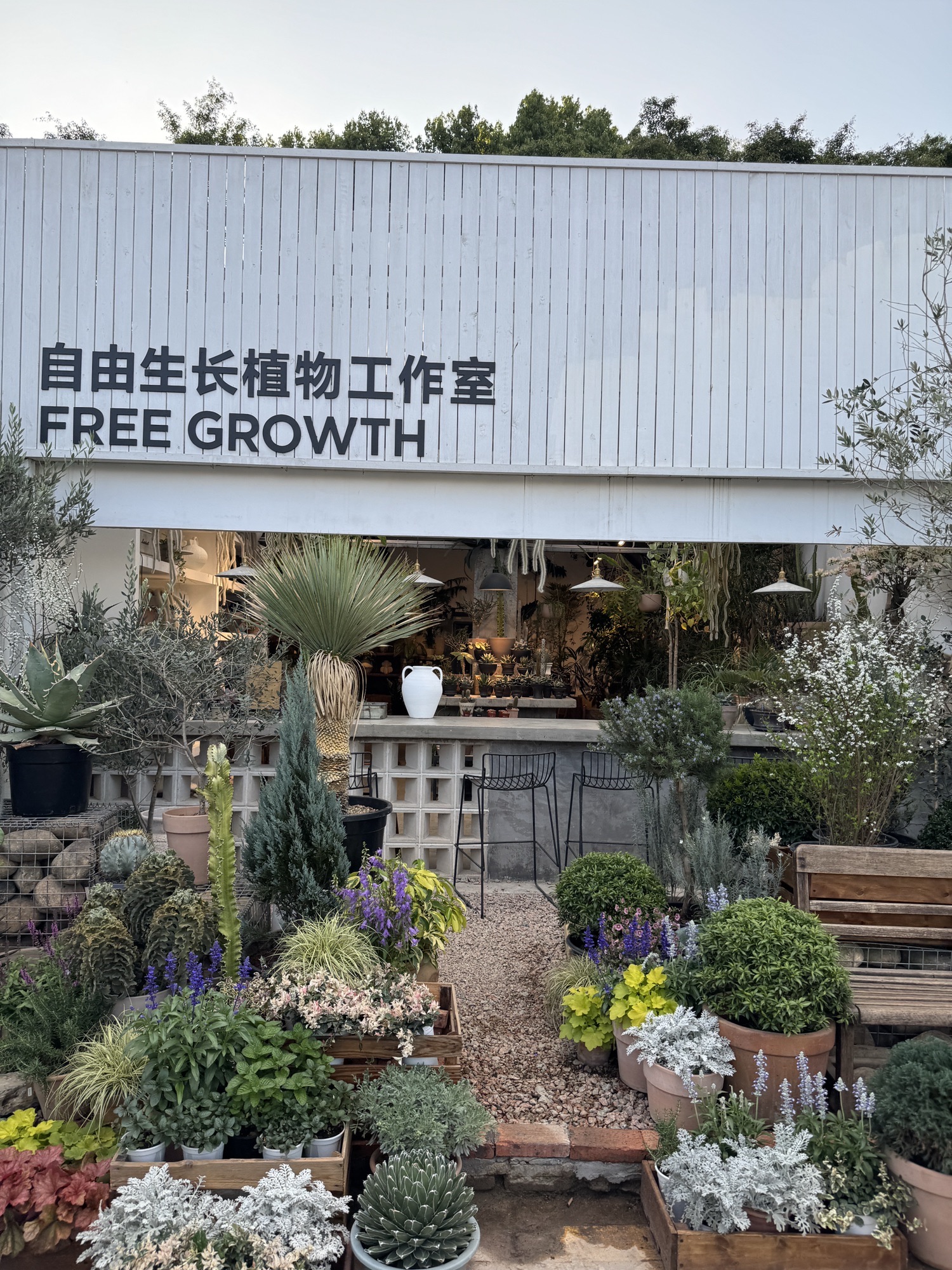 自由生长植物工作室(花卉中心店)