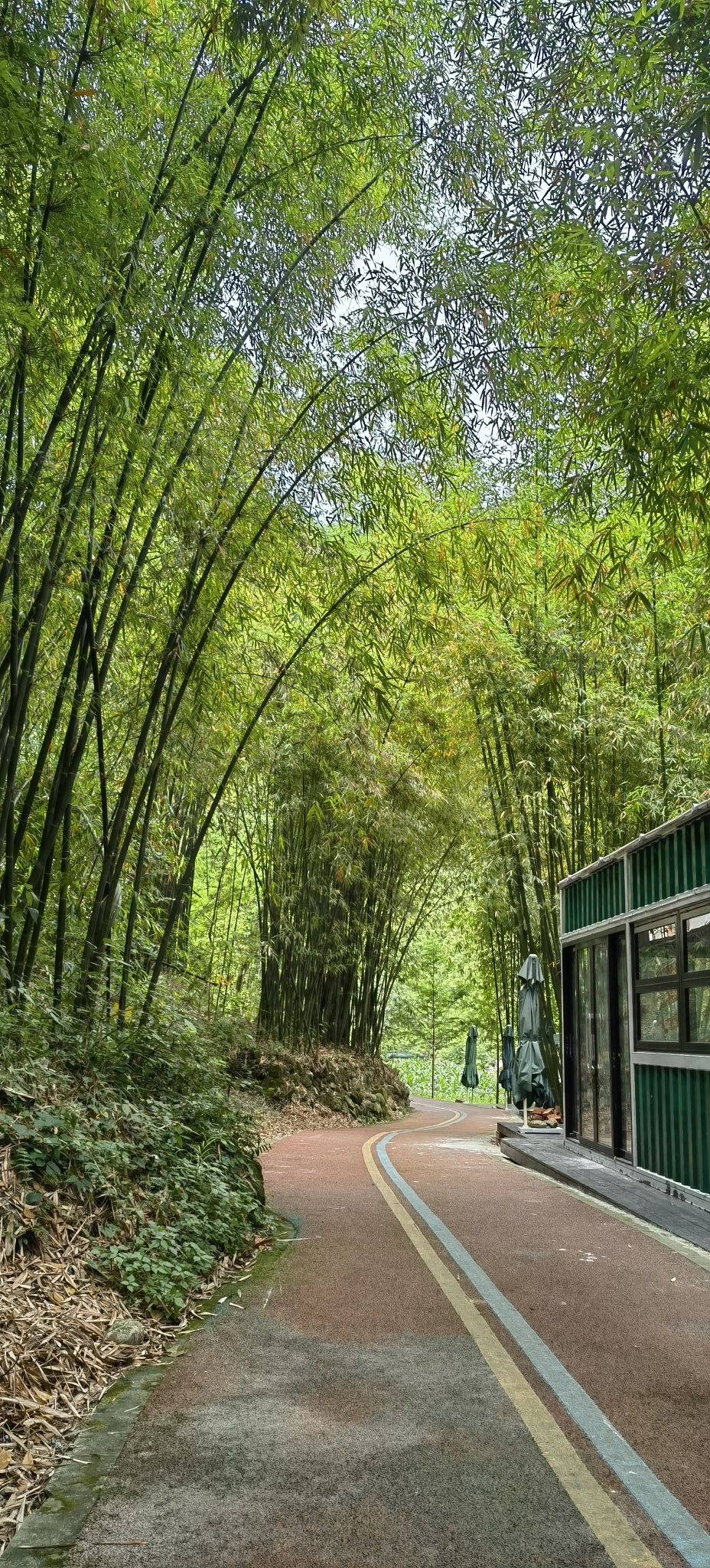 场地封面-竹里驿站