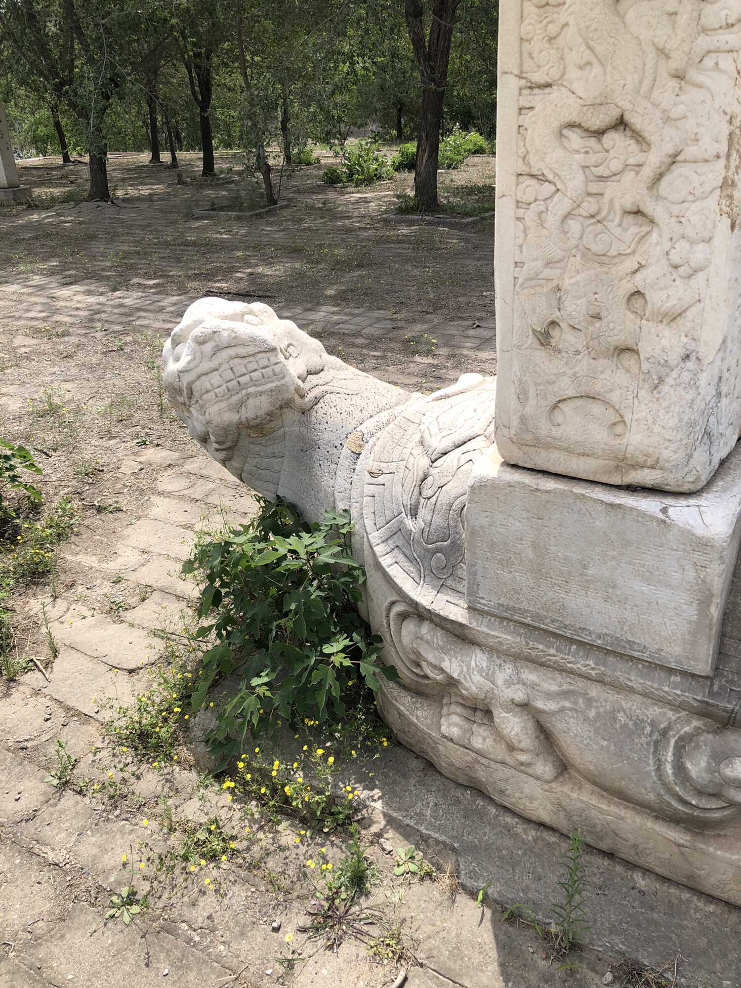 刘秉权墓地旅行图片 3