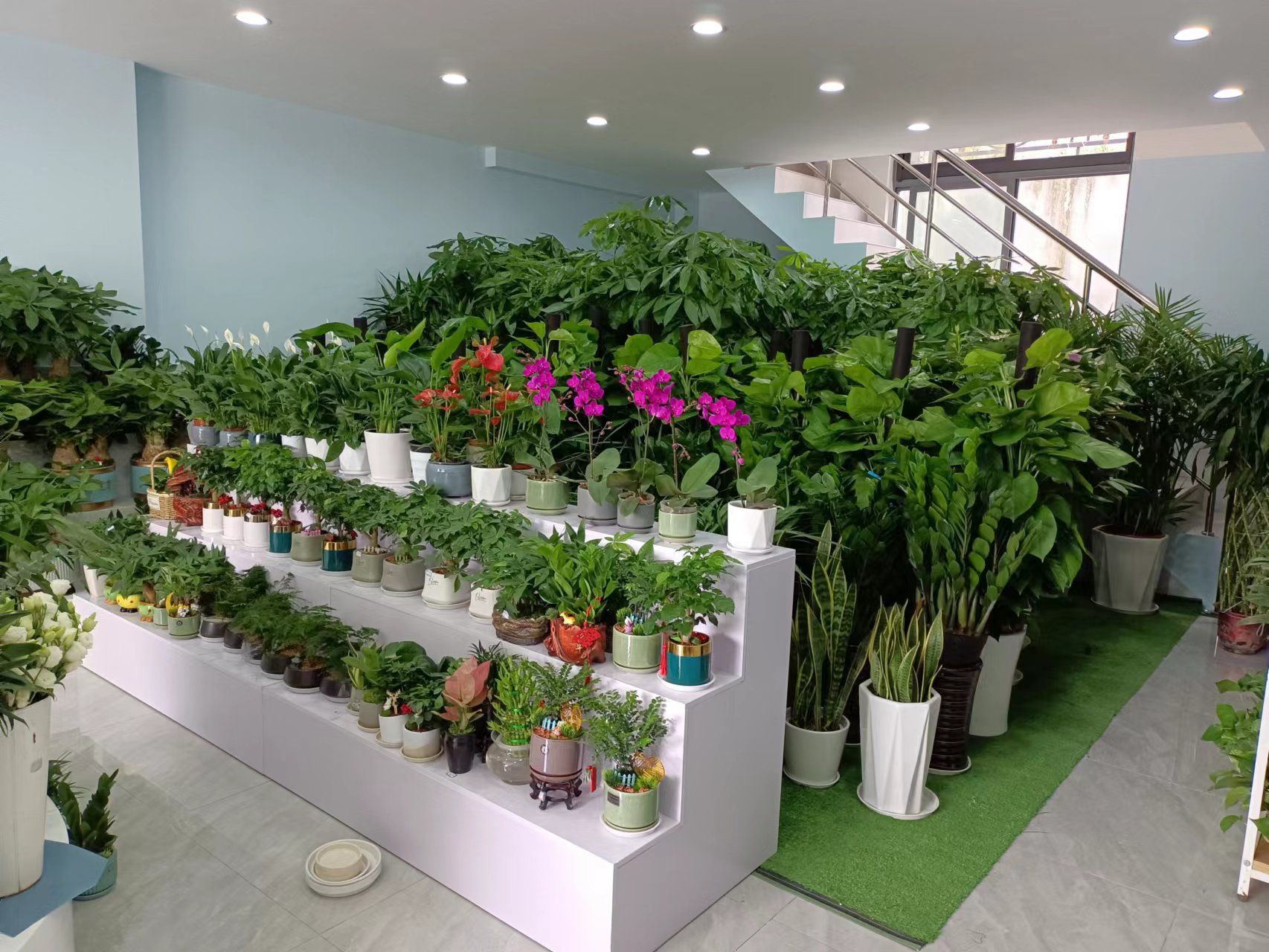 张记花卉(杭州湾世纪城翠湖苑店)